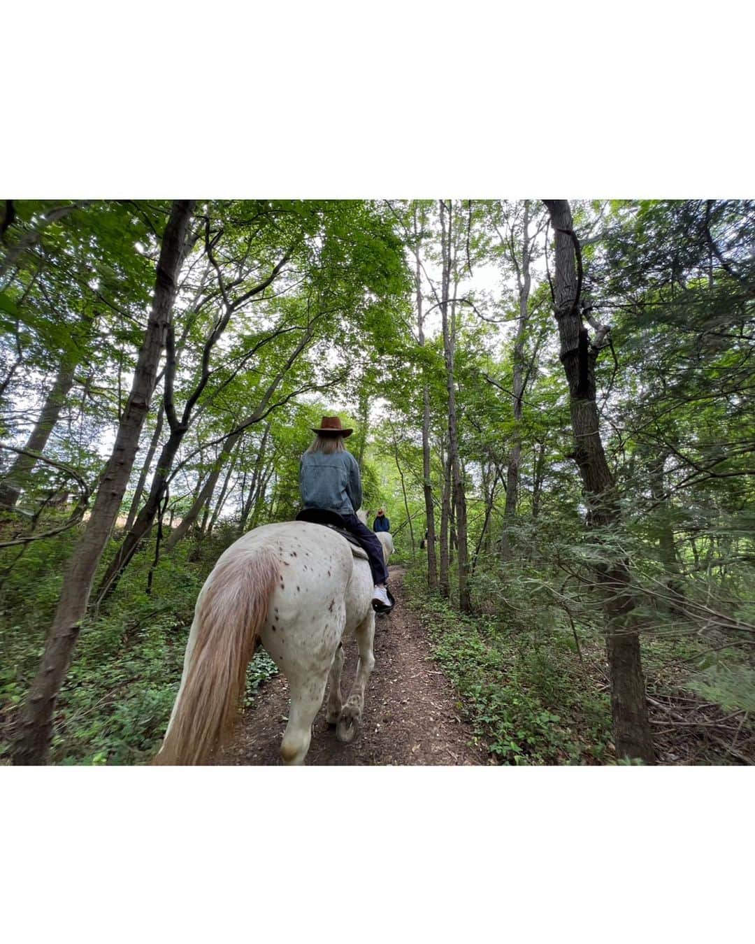 山口厚子さんのインスタグラム写真 - (山口厚子Instagram)「白馬に乗って大自然の中を散策したよ😊🌲  カウガールどうだったー？😋  #春バージョン完結 #大和ホースパーク  @yamatohorse」5月20日 19時41分 - atu_yaman