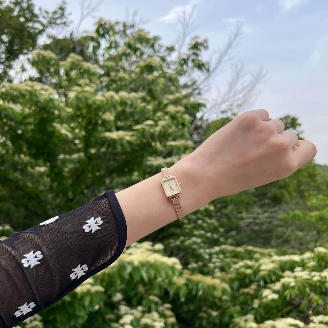 のインスタグラム：「@danielwellington ⌚︎🌷 華奢なデザインで、かわいい︎☺︎ 『igkoyama』公式サイト又は直営店で使える15%オフクーポンコードです。 ストーリーにHPリンク貼ります❣️ . #ダニエルウェリントン #見た目より小さい #レディースウォッチ #ヴィンテージ #古着コーデ #YESDW #腕時計 #おすすめ」