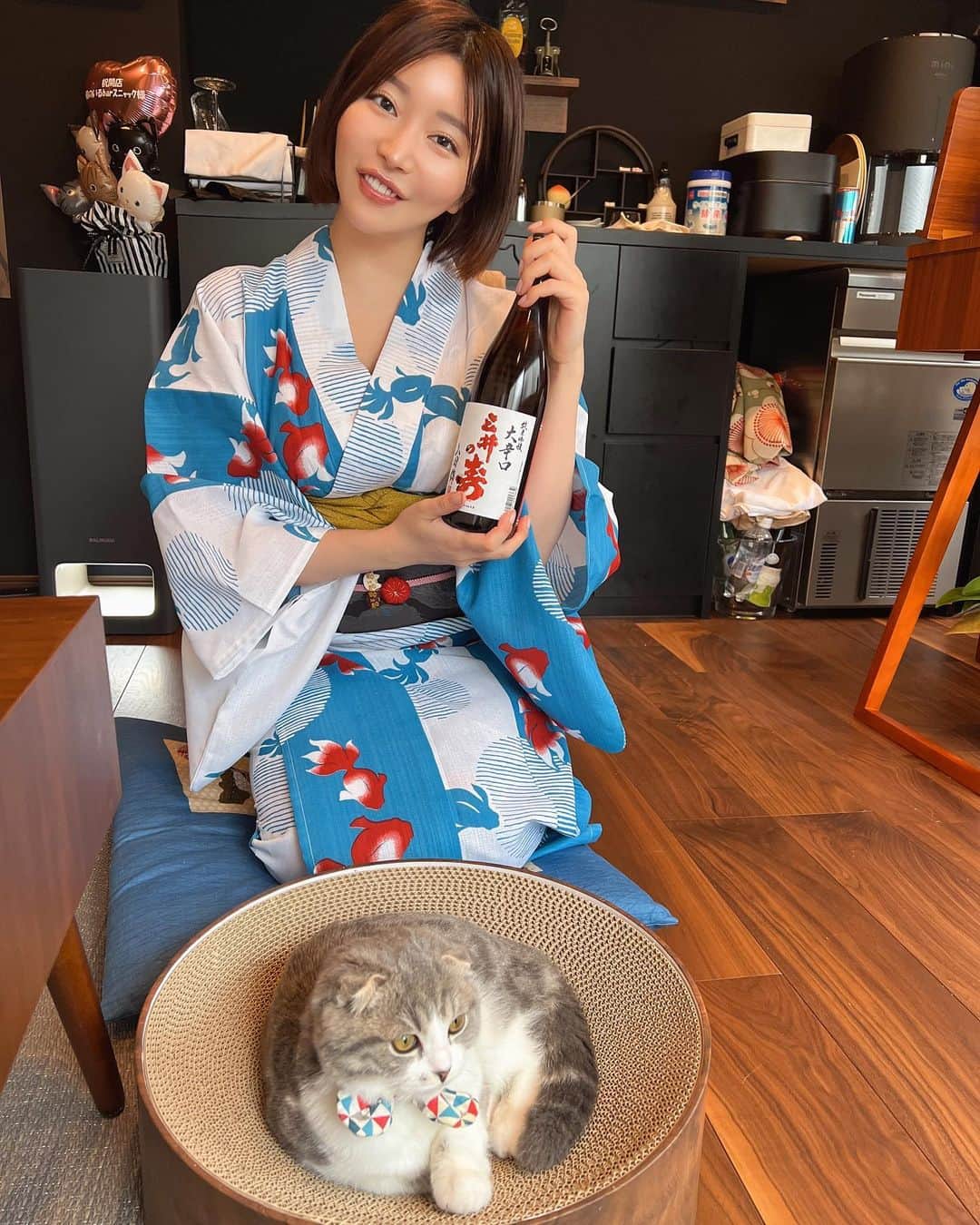 古河由衣さんのインスタグラム写真 - (古河由衣Instagram)「#三井の寿 #日本酒 いまだけ限定で置いてあります🐈🍻✨ ママ、スラムダンク大好きです。 モネたんは誰推し？ モネ「あたちは牧さん。セクシーなほくろがあるのが一緒なのよ。」  モネたん、早速色男狙っってる💗  #スラムダンク #みいの寿 #日本酒バー #猫bar #ねこ #スコティッシュフォールド #スニャック  #池袋 #池袋グルメ #bar #スナック」5月20日 20時03分 - furuyuistagram