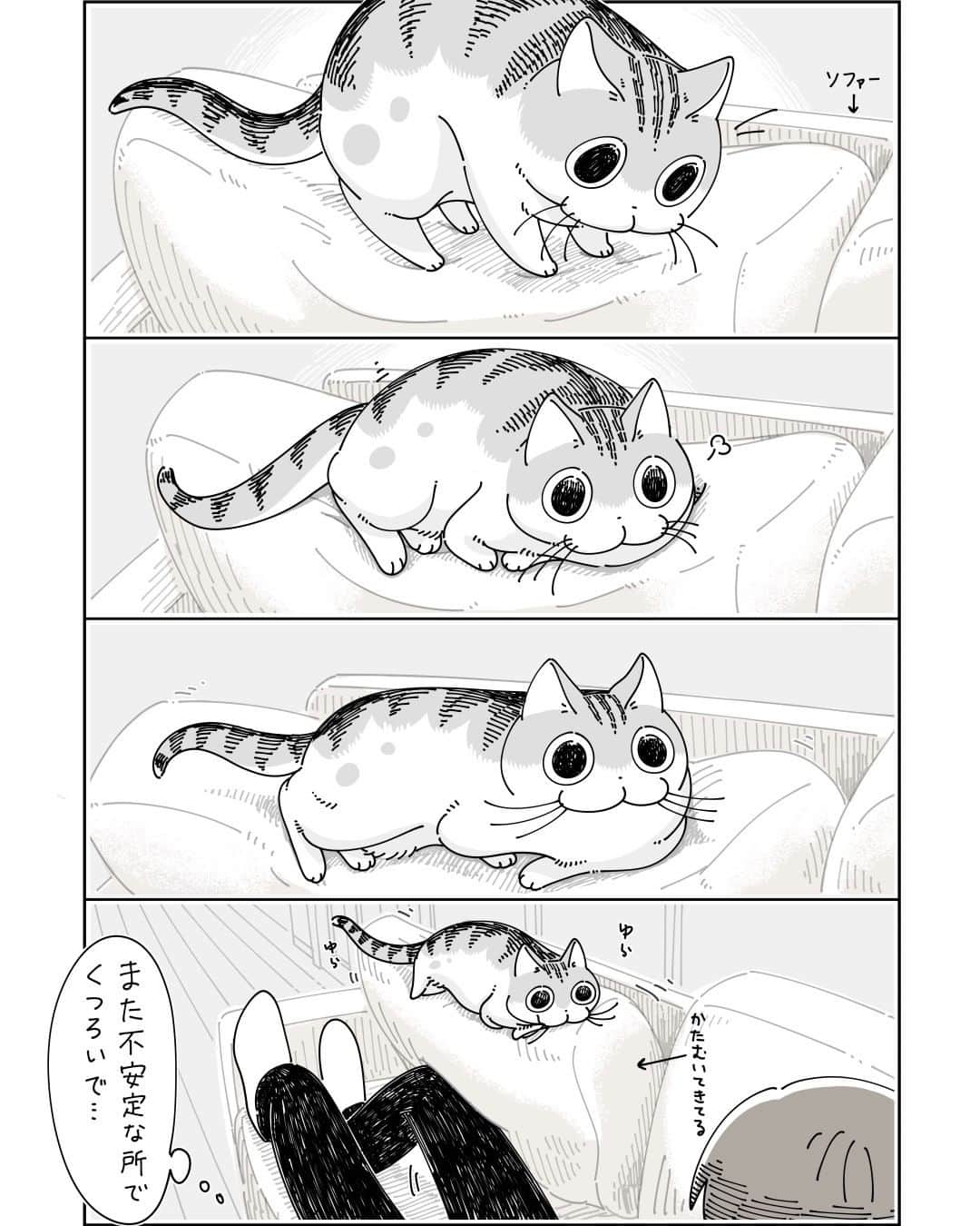 キュルZのインスタグラム：「前足の置き場に悩むネコ  #キュルガ #夜は猫といっしょ #猫 #cat #猫漫画 #猫のいる暮らし」