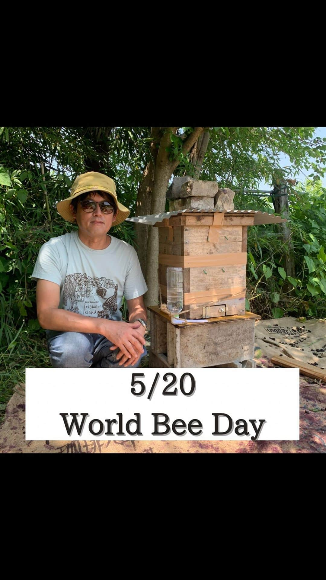 空木マイカのインスタグラム：「今日5月20日は 国連が定めたWorld Bee Dayです。  「世界みつばちの日」と訳されることも多いのですが、 正確にはbeeはハナバチのこと。  海外ではbeehouseや マルハナバチ、クマバチ、ハキリバチだけでなく、 蝶など全てのポリネーター (送粉者、花粉媒介者)が対象なのだとか。  みつばちは私たちの食べてる 農産物の受粉もしてくれているだけでなく、 地球上の多くの植物の実を結ぶお手伝いをしてるので、 温暖化防止にも貢献してる生き物だと教えてくれたのは みつばちの先生たけさん　@suntubu_no_tane 。  先日、グリーンジャーニー @greenjourney2020 の畑の 巣箱にきてくれた 日本みつばちのお世話の仕方を たけさんが教えてくれて メンバー向けに動画に撮ったんですが、 それがめっちゃくちゃおもしろかったので こちらにもアップすることにしました。  私たちはミツバチのお家を提供する大家さんで その家賃として余った分の蜂蜜を少しいただく。 そんな関係。 でもどんなお世話をするの？ 何もかも知らなかったことばかり！  そして、私は子どもの頃はちが怖かったんですが 大人になってミツバチの大切さを知って 大事にしなくちゃと思って。 だけど、頭と体はやっぱりどこか違ってて。 それがこの日、みつばちの巣箱に手を入れて みつばちの巣を触ったときに 何かが変わった気がしました。 パチッとスイッチが入った音がした。  体験するってこういうことなんだ。  花粉は何だか卵の黄身みたいで はちみつは信じられないくらい やさしい甘さで美味しかった。  息子は「おいしすぎて 飲み込むのがもったいないくらい」 と言ってた。  体で覚えていきたい。 みつばちとの付き合い方。 距離感。関係性。  蜂に刺されたくないから顔にネットをするんじゃなく 刺したらミツバチは死んじゃうから、 ミツバチを守るためにネットをすること。  みつばちの巣箱のお世話をした日から 世界の見え方が変わった気がしてる。 みつばちさん、グリジャ畑に来てくれて 本当にありがとう！ そしてたけさん、 大切なことをたくさん教えて頂き ありがとうございました！！ #日本みつばち #みつばち #worldbeeday」