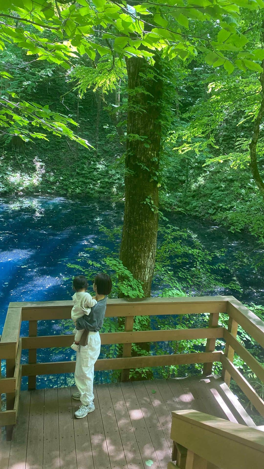 井村亜里香のインスタグラム：「白神山地でアーシング🌳🌿 何回見ても飽きない青池の美しさ😮‍💨💙  #aomori#shirakamisanchi#earth #青森#白神山地#アーシング#深呼吸」