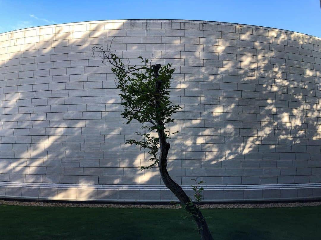 七咲友梨のインスタグラム：「広島美術館でピカソ展のあと。 ギューーーーっと見終わったあとに、この庭。 なんとも解放さわやかで。  キャプションが充実していて、ゆっくりと深く鑑賞できた。 おもしろかった…！  @hiroshimamuseumofart   #ひろしま美術館  #ピカソ展」