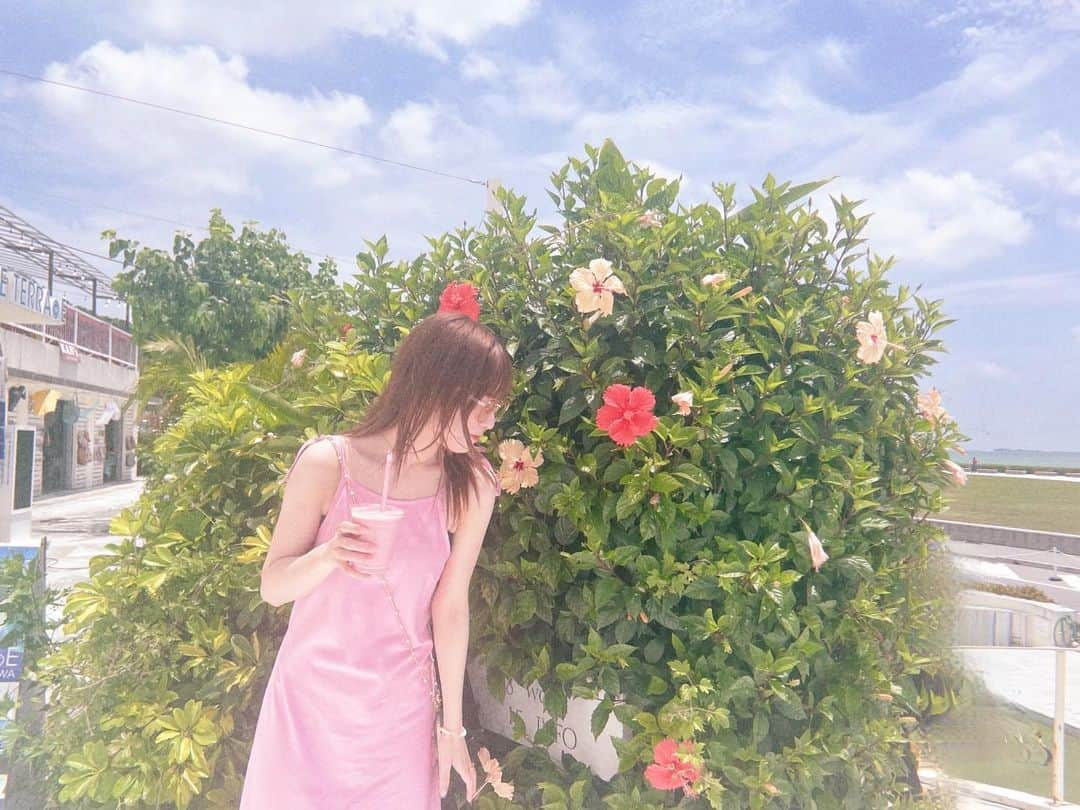 東村芽依さんのインスタグラム写真 - (東村芽依Instagram)「. 沖縄旅行🌺🌴🌊 #ハイビスカス#咲いてた#沖縄#ウミカジテラス #日向坂46#東村芽依#meigram」5月20日 21時23分 - mei.higashimura