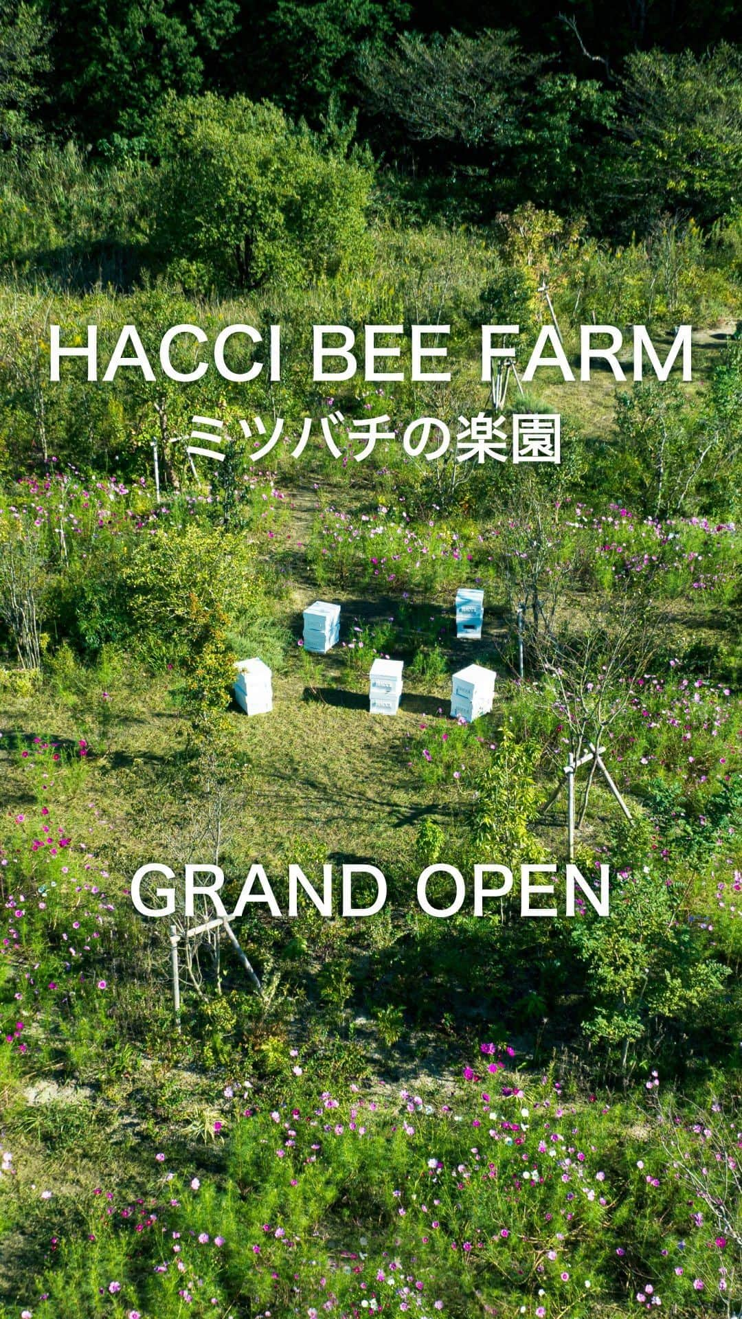 HACCI officialのインスタグラム