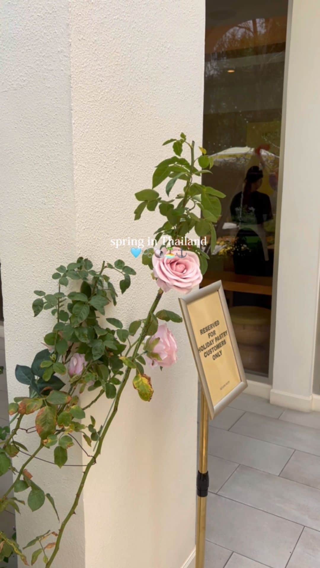 Isakoのインスタグラム