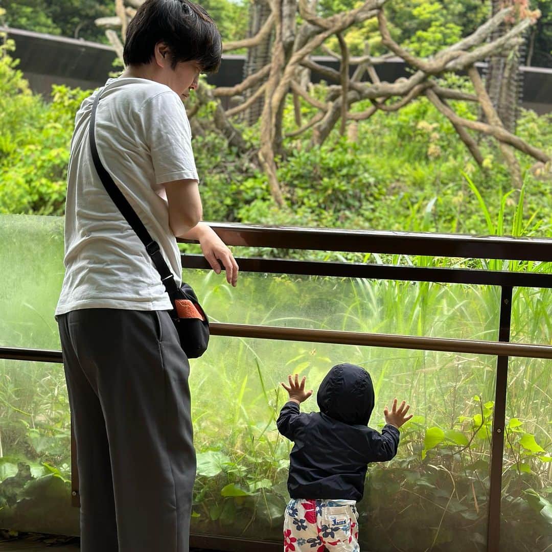 やしろ優さんのインスタグラム写真 - (やしろ優Instagram)「先日初動物園に行ってきました😙‼️  指をさして 「あ！ワンワン🐶！」って言ってました笑！ やさ丸くんには みんなワンワン🐶に見えたみたいです笑笑！ そして ちょっとまだこわかったかな笑笑🤣  母ちゃんはチーターとちゃっかり2ショット💕  #やさ丸 #1歳4ヶ月」5月21日 7時33分 - yashiroyuuuu