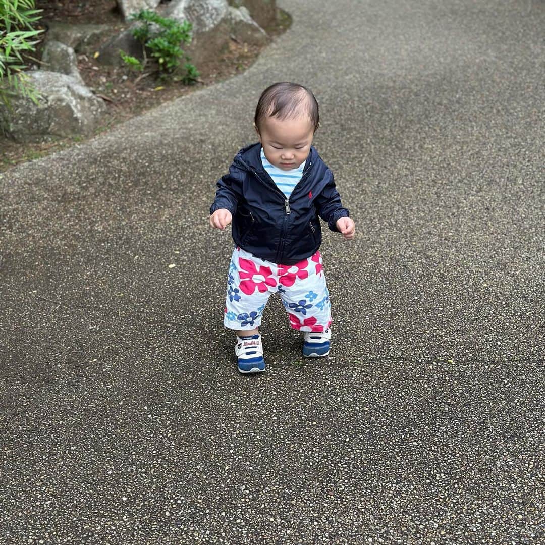 やしろ優さんのインスタグラム写真 - (やしろ優Instagram)「先日初動物園に行ってきました😙‼️  指をさして 「あ！ワンワン🐶！」って言ってました笑！ やさ丸くんには みんなワンワン🐶に見えたみたいです笑笑！ そして ちょっとまだこわかったかな笑笑🤣  母ちゃんはチーターとちゃっかり2ショット💕  #やさ丸 #1歳4ヶ月」5月21日 7時33分 - yashiroyuuuu