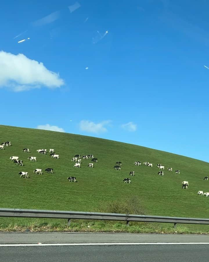 寺川里奈のインスタグラム：「surrounded by nature 🐄🖤」