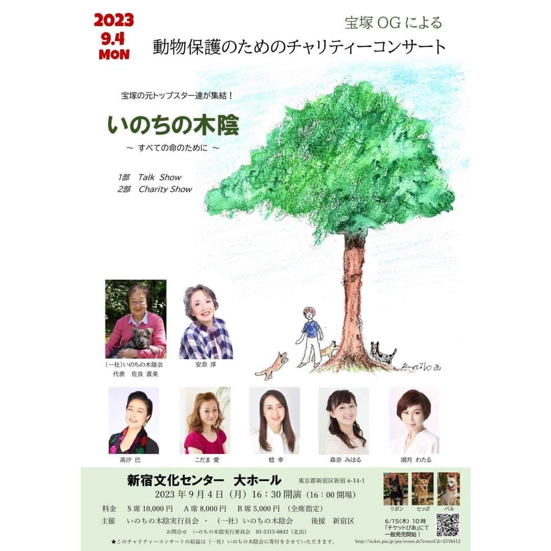 湖月わたるのインスタグラム：「憧れの大先輩 安奈淳さんにお声をかけていただき、 宝塚OGによる 動物保護のためのチャリティーコンサート 「いのちの木陰 ～すべての命のために～」 に出演させていただきます✨  日頃から、何か自分にできることはないかと考えていました。 この様な機会をいただけて感謝しています…  応援よろしくお願いいたします❣️  【企画・制作】安奈淳　（株）Office Anna Jun  【構成・演出・振付（2部）】#檀ひとみ  【出演】 #佐良直美　#安奈淳　#髙汐巴　#こだま愛　#稔幸　#森奈みはる　湖月わたる  【DANCER】#大洋あゆ夢　#芽映はるか　#汐夏ゆりさ　#瀬央みつき  (敬称略)  【日時】2023年9月4日（月）16:30開演  【会場】新宿文化センター　大ホール 　　　　東京都新宿区新宿6-14-1  ・ #湖月わたる #watarukozuki」