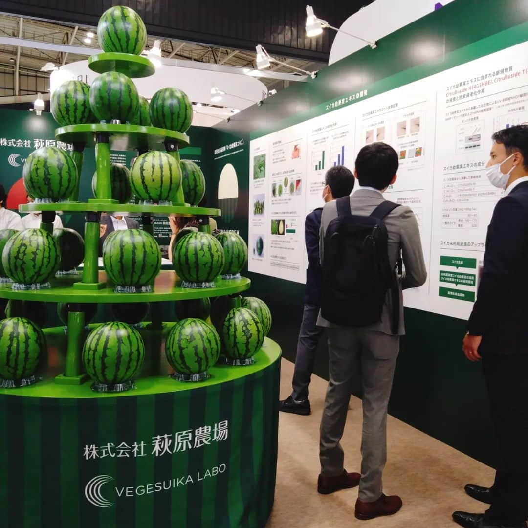 真鍋摩緒さんのインスタグラム写真 - (真鍋摩緒Instagram)「【✨🍉スイカで美容革命！🍉✨】 化粧品原料や化粧品開発の大展示会 「CITE JAPAN」がパシフィコ横浜にて 開催されましたーーーー！！  なんと今回！ スイカ倶楽部本拠地の株式会社萩原農場の 10年の研究が実を結び！  スイカの生育時に廃棄されていた 摘果幼果実（間引きされてしまう果実ね） から驚くほどの抗酸化・抗糖化作用が発見され シワ改善に劇的な効果を期待できる結果がでたため  「スイカ幼果実エキス」として 世界に向けてプレゼンさせていただくための 出展をさせていただきました！😍😍  もちろんブースにはスイカタワー！！🍉🍉  スイカ親善大使の私は セミナー会場にて開催された  萩原農場 農学博士 橋詰先生と ビューティーサイエンティストの岡部美代治さんの  技術研究発表会のモデレーターを 務めさせていただきました！！  ブースには スイカの大先輩！！であり このスイカビューティープロジェクトの ご協力もいただいている 山田邦子さんもご来場くださり！  最高のインタビューも録らせていただきましたので 公開をお楽しみに！！  皆さん今年は スイカビューティーにも ご注目くださいね！！！！😍😍😍  楽しみーーー！！！！」5月20日 23時59分 - maomanabe