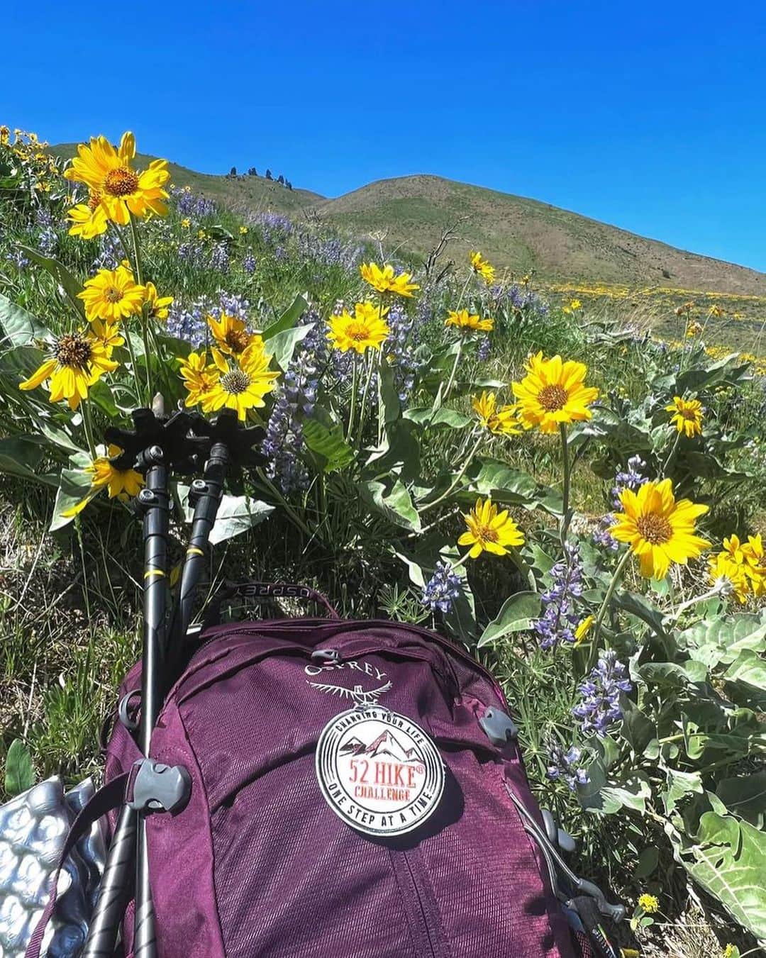 オスプレーのインスタグラム：「52 hikes...loading!  The Over 50 Outside 2023 group is on their way to completing the 52 Hike Challenge this year. With spring flowers blooming and a few mid-hike rain showers, these women are hitting the trail and embracing all it has to bring.   Over 50 Outside is a supportive community of women over the age of 50 who are exploring the outdoors together.   We can't wait to see which adventures come next. Follow along with the #Over50Outside group and the challenge sponsors @obozfootwear, @ospreypacks, @outdoorresearch, and @52hikechallenge.  📷: Valarie T. | Susan C. | Robyn S. | Beth M.   #OspreyPacks」