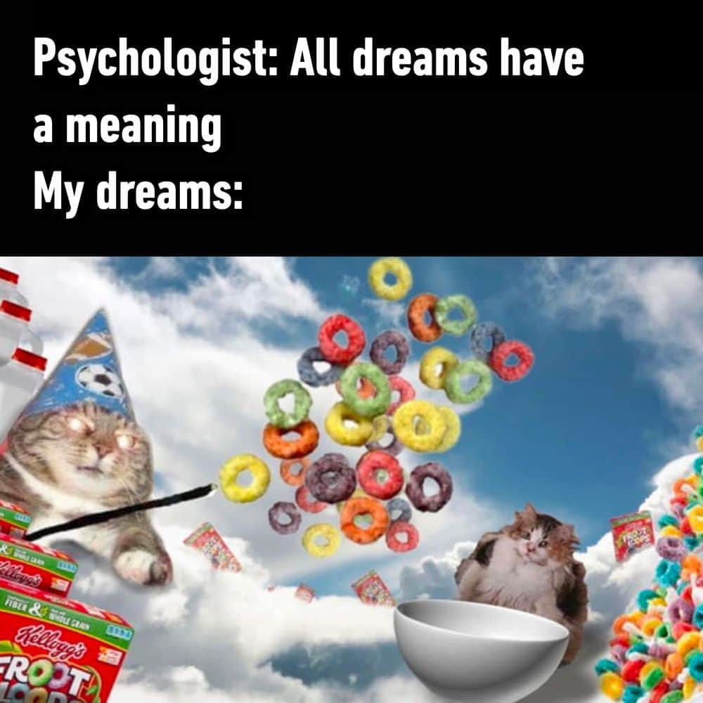 9GAGさんのインスタグラム写真 - (9GAGInstagram)「paradise for me  - #dream #cats #cereal #psychology #sleeping #memes #9gag」5月21日 2時00分 - 9gag