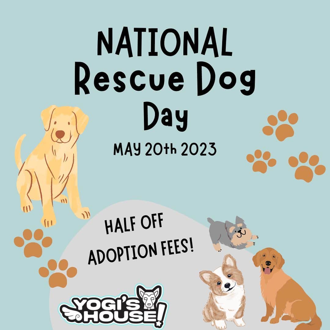 ブルックリン・ベッカムのインスタグラム：「Today is National Rescue Dog Day, and to celebrate @itsyogishouse is offering 50% off of adoption fees today to celebrate! Please take a look at these dogs available 🤍」