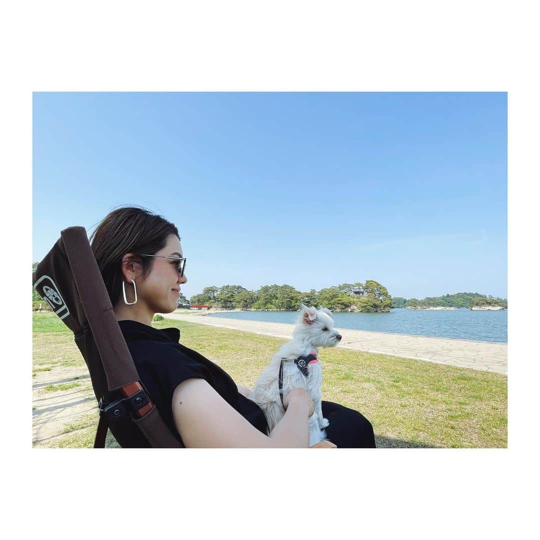 菊地舞美のインスタグラム：「🐶 ___________________________  ゆっくりお出かけといっても 長時間歩き続けることが 難しくなってきた最近。  先日の松島案内。 義両親が御朱印巡りをしている間 「疲れたら海を見ながら休もう」 とアウトドアチェアをえっほえっほと 持参してくれた👨🏻さん。 （最近は私よりも母性溢れるプレパパです😂）  なんともお昼寝にベストな 人もいない静かなスポットを見つけてくれて 3人でナップタイム😴  —— #松島観光 #穴場スポット  #妊娠9ヵ月 #妊娠 #プレママ #マタニティ #てるみにっき」