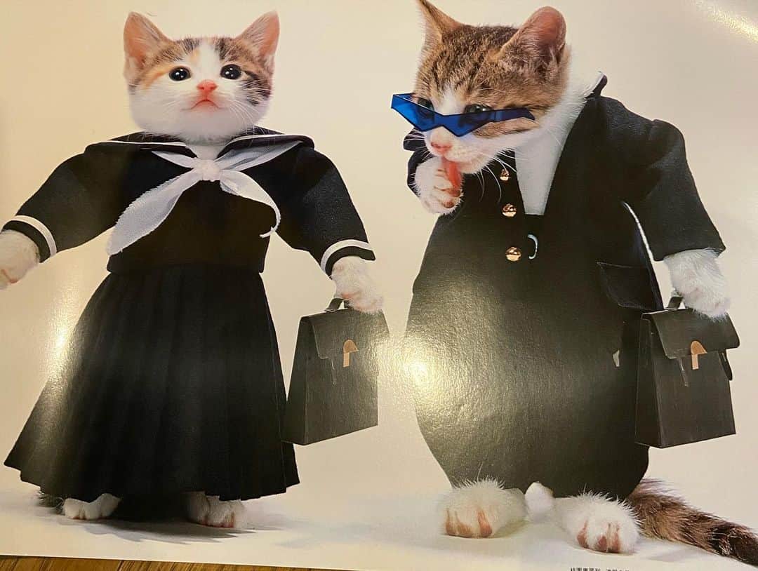 KEN KAGAMIさんのインスタグラム写真 - (KEN KAGAMIInstagram)「本日大江戸骨董市で買ったものです。 顔が良い感じの武士人形 80年代のなめ猫のポスター」5月21日 16時45分 - kenkagami