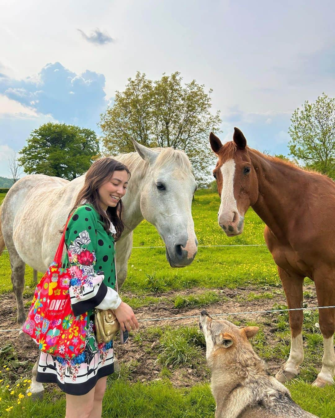 加藤ジーナさんのインスタグラム写真 - (加藤ジーナInstagram)「オランダで最高にかわいいお馬ちゃんに会いました〜🐴💗 江里子さん(@eriko_deleeuw_ohashi )のところのSKYとDJ🥰 ふたりとも優しくてかわいかった〜😭💗  見て、この私の顔の幸せそうなことよ😂✨ かわいいワンちゃん、羊とニワちゃんもたくさんいて幸せだった〜！ 4枚目も見て！オオカミ犬のモナミちゃんが馬と話してるかわいい🥺💗  循環農法で家庭菜園もされてて 私の理想だった😭✨✨ ちなみに私が小さい時から言ってる 馬と暮らしたいって夢は全然まだ諦めてない！🤣 日本でそう言ってた時はいつも馬鹿にされてたけど、オランダに来たら馬を飼ってるお家がたくさんあって、馬も牛も羊もそこらへんにいるし🥺💗 私の夢、叶えられそうって思える☺️  #馬と暮らす #馬が好き #循環農法 #家庭菜園 #オランダ生活 #オランダ移住 #ヨーロッパ生活 #ヨーロッパ移住 #海外移住 #海外移住女子 #グリーンワンピ #グリーンカラー #花柄ワンピ #花柄コーデ #ワンピースコーデ #今日のコーデ」5月21日 16時54分 - katogina_718