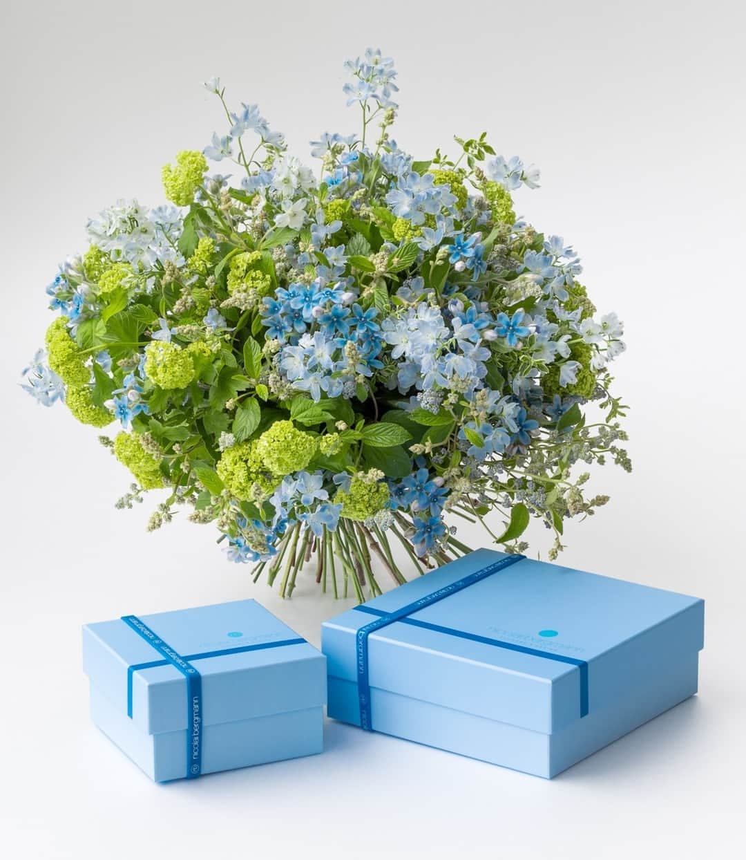 ニコライ・バーグマン・フラワーズ＆デザインのインスタグラム：「What a match! 💙 Take a closer look at this week's Friday flowers bouquet. ⁠ ⁠ Flowers: Snowball, blue star, delphinium（スノーボール、ブルースター、デルフィニウム)⁠ ⁠ #nocolornofun⁠ .⁠ .⁠ .⁠ .⁠ .⁠ #nicolaibergmann #flowerdesign #ニコライバーグマン #フラワーデザイン #니콜라이버그만 #꽃다발 #букетцветов #ramosdeflores #blumenstrauß」