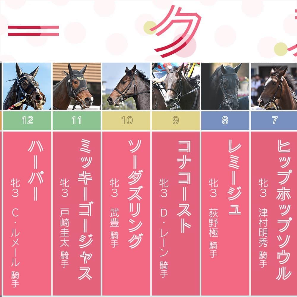 のインスタグラム：「ㅤㅤㅤㅤㅤㅤㅤㅤㅤㅤㅤㅤㅤㅤㅤ ㅤㅤㅤㅤㅤㅤㅤㅤㅤㅤㅤㅤㅤㅤㅤ #オークス 🧸 ㅤㅤㅤㅤㅤㅤㅤㅤㅤㅤㅤㅤㅤㅤ #ヒップホップソウル #レミージュ #コナコースト #ソーダズリング #ミッキーゴージャス #ハーパー . . #instahorse #horsetagram #thoroughbred #horseracing #horse #horseofinstagram #keiba #競馬 #instagood #horseman #騎手 #jockey #優駿牝馬  (C)netkeiba.com」