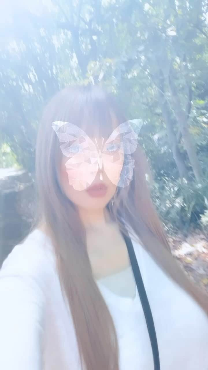 Hitomi（田中瞳）のインスタグラム：「🌲🌲☀️🌲🌲」