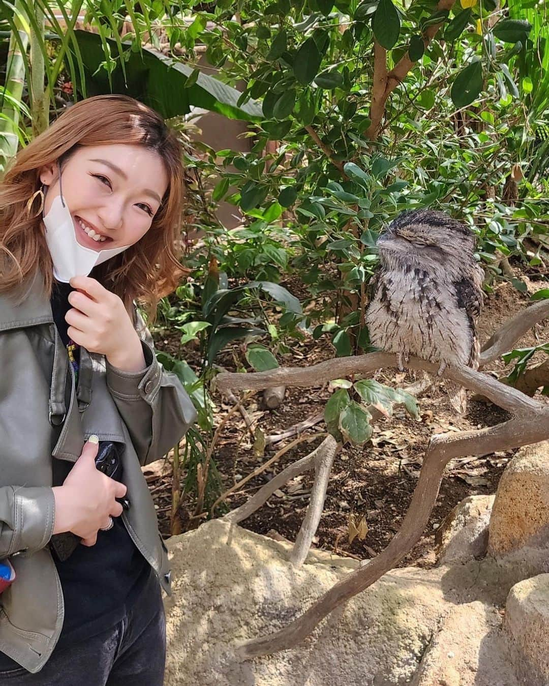 黒田絢子さんのインスタグラム写真 - (黒田絢子Instagram)「GW最高に楽しかった🦉🐿️🦥🦩🦢🦘🐅🐫🐑🦙🐈🐕🦚🕊️🦝🦫🐾🪷🪻🌷🌼✨  #神戸どうぶつ王国 #gw #動物 #アニマル #animals  #lovely #ふれあい #めずらしい植物  #絶滅危惧種」5月21日 10時28分 - ayakokuroda_official