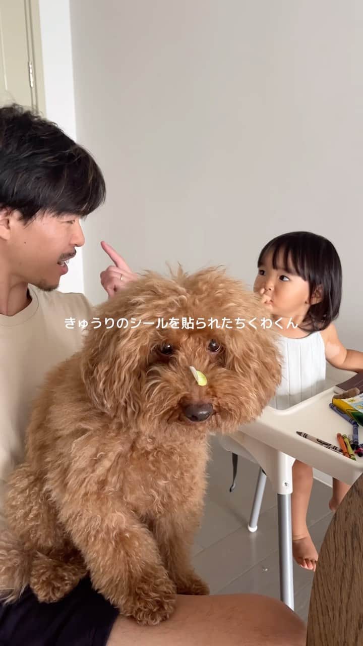 のインスタグラム：「1歳半になったすずちゃんとママのモーニングルーティン🫶  朝からよく食べ働き者なおすずちゃんです🤭 最近はお絵描きにハマってます🖍️🩵  みなさんhappyな日曜日を😘  #1歳女の子#1歳6ヶ月#ママライフ#女の子ママ#子育て#育児記録#海外移住#フィリピン移住#フィリピン#マニラ#海外子育て#海外で子育て#18months#モーニングルーティン#ルーティン#主婦の日常」