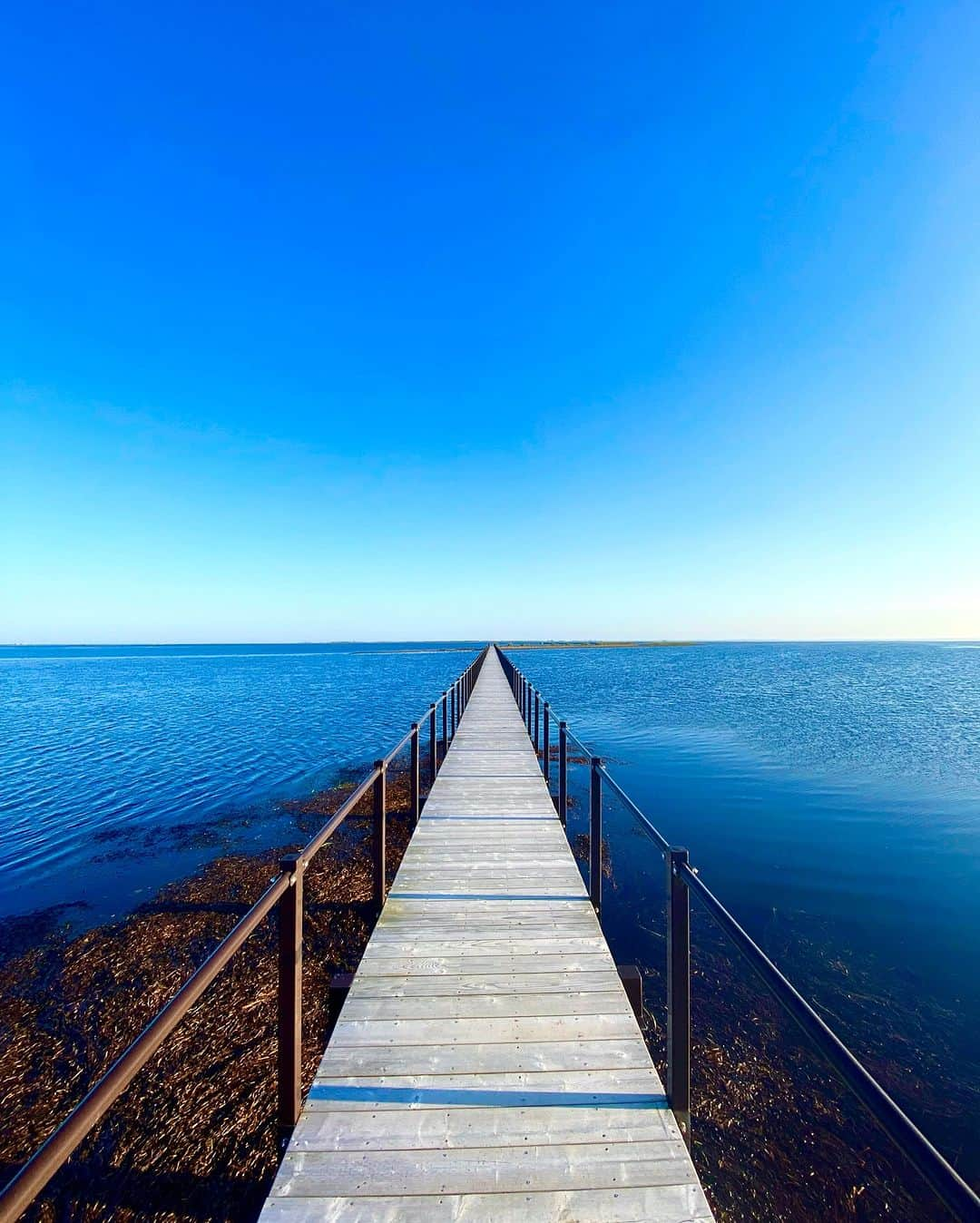 北海道じゃらん【公式】さんのインスタグラム写真 - (北海道じゃらん【公式】Instagram)「別海で注目！絶景ドライブ🚙✨  本日の#1日1得 ネタは 別海町の『ドドワラ』  海水の浸食や潮風によって立ち枯れてしまったドドマツが幻想的なドドワラは、 別海10景にも選ばれている観光名所。  詳しい情報は北海道じゃらん6月号P51をチェック！  #北海道じゃらん #じゃらん #北海道じゃらん6月号 #北海道 #1日1得 #お得 #別海 #別海町  #ドドワラ #北海道絶景 #絶景 #北海道旅行 #北海道 #japan #hokkaido」5月21日 12時00分 - hokkaido_jalan