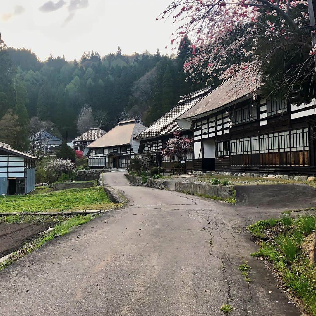 田中里依奈さんのインスタグラム写真 - (田中里依奈Instagram)「. おばあちゃんが生まれた、青鬼集落（あおに）がどうしても気になって、自分のルーツや白馬周辺地域の歴史や民話、伝説を調べていたら、面白い本を見つけた😍 この本の内容が本当だったら面白い😆 表の歴史は勝者の歴史だから、本当の歴史は、伝説や民話の中に暗号として守って隠されてきたのかなぁ。 大好きな漫画、ワンピースの空白の100年みたいな隠された歴史が白馬にあると思ったら、すごくわくわくした☺️ ちなみに、写真は4年前に遊びに行った時の写真です。 . #白馬村#青鬼集落#長野県白馬村#黒姫山#戸隠 #戸隠山#鬼無里#姫川#奴奈川姫#ダイダラボッチ伝説 #龍神信仰#山岳信仰#九頭龍#青鬼神社#隠された歴史 #千国街道#塩の道#白馬岳#白馬三山 #五竜岳#縄文遺跡 #自分のルーツをたどる」5月21日 18時18分 - riina_tanaka