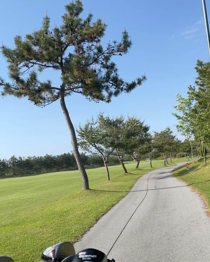 のインスタグラム：「알찼던 우리의 여행 🙇🏽‍♀️🤍🤍#고창cc」