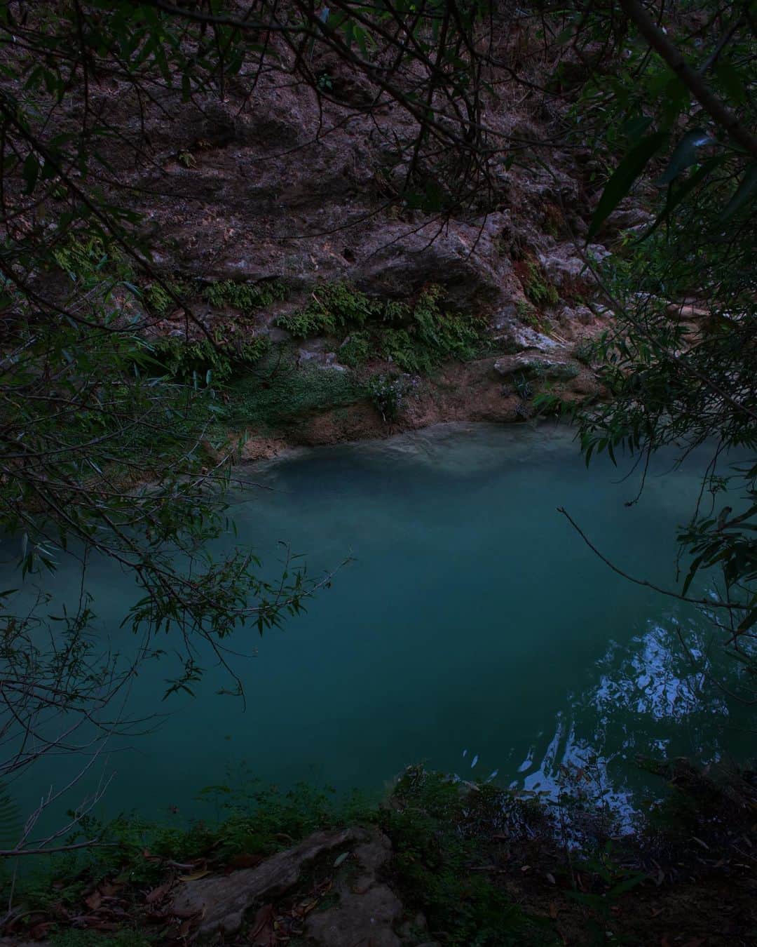 Sarahのインスタグラム：「“apoala” is from Nahuatl meaning “water that destroys”.」
