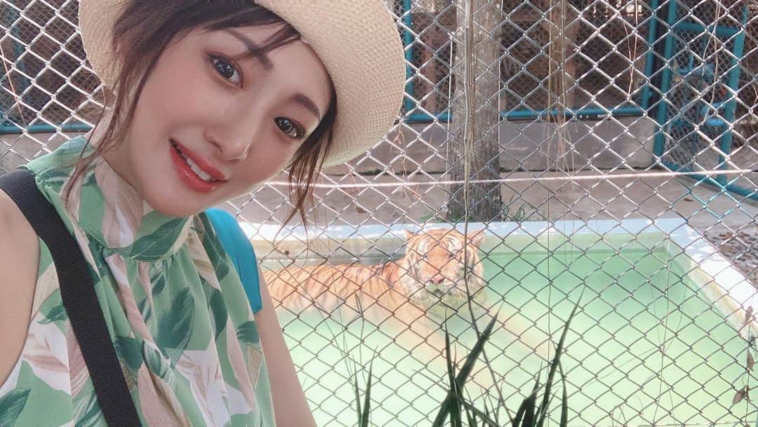 佐竹ななのインスタグラム