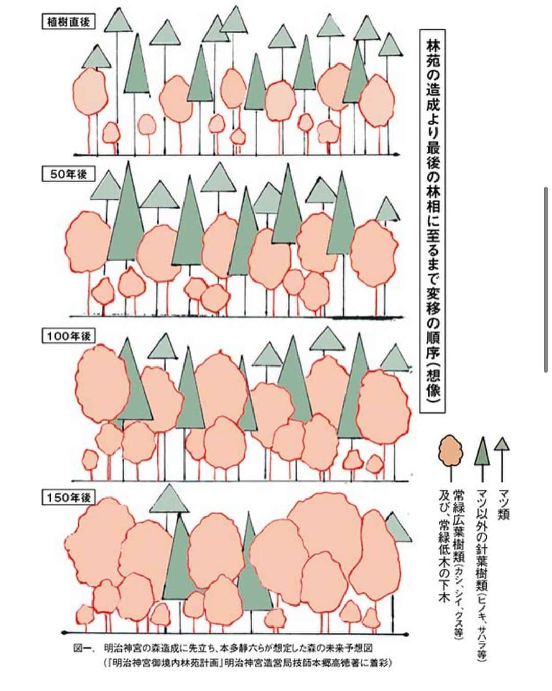 早坂香須子さんのインスタグラム写真 - (早坂香須子Instagram)「神宮外苑の再開発について思うこと。  森を守るには、3世代100年人が同じ思いが必要と言います。  神宮の森を造った日本初の森林学者・本多静六さんはドイツで森林学を学び、時の首相から神宮の森をスギ林にするよう求められたのを説き伏せ、１００年後の多様性のある森を実現した人物です。 　 ２０１９年、ドイツ在住の森林環境専門家・池田憲明さんに黒い森を案内していただいた時に、本多静六という名前と功績を知りました。  神宮外苑の再開発で1,000本の木が切られると聞き、計画見直しの署名はしていたものの、その時はまだ自分事として受け止めていなかったと思います。  それが先月、私の森の間伐をお願いしたところ、打ち合わせ以上に木が切られて均一的なカラ松林になった森の姿を見て、痛みを伴って初めて、全国で行われる皆伐に、神宮外苑の木々の伐採に、自分事として思いを馳せました。  業者さんは森とそこに住む予定の私に良かれと思って自分達のメソッドで伐採したわけで、誰が悪いとかではないし、光が入ったことでまた再生してくる生命もあります。  でも、切ってしまった木は戻りません。  ドイツでは、産業革命で燃料や資材として伐採され、木が国土の10%以下になった反省から、国を挙げて種の多様性、大きさの多様性を大切にした持続可能な森づくりに舵を切ったそうです。  私は私の反省から、森づくりプロジェクトを再スタートします。  ひとつの森で起こることは、土中の菌ネットワークで世界中の森に繋がり、川、海、全ての環境と影響しあいます。  私たちはいつからでも、自然に生かされる暮らしを選ぶことができる、森がそう教えてくれたんじゃないかと思うのです。  神宮外苑の再開発は、建物の老朽化で必要な部分もあるのは理解できるし植林もするそうだけど、樹齢100年の木は一度切ったら戻らないから。  100年の森を残してくれた本多静六さんがもし今生きていたら、何と言うかな？  そんなことを考えながら、今日も森に向かいます。  #神宮外苑#神宮外苑再開発 #本多静六  #ドイツ#黒い森 #光の森のプロジェクト」5月21日 15時19分 - kazukovalentine