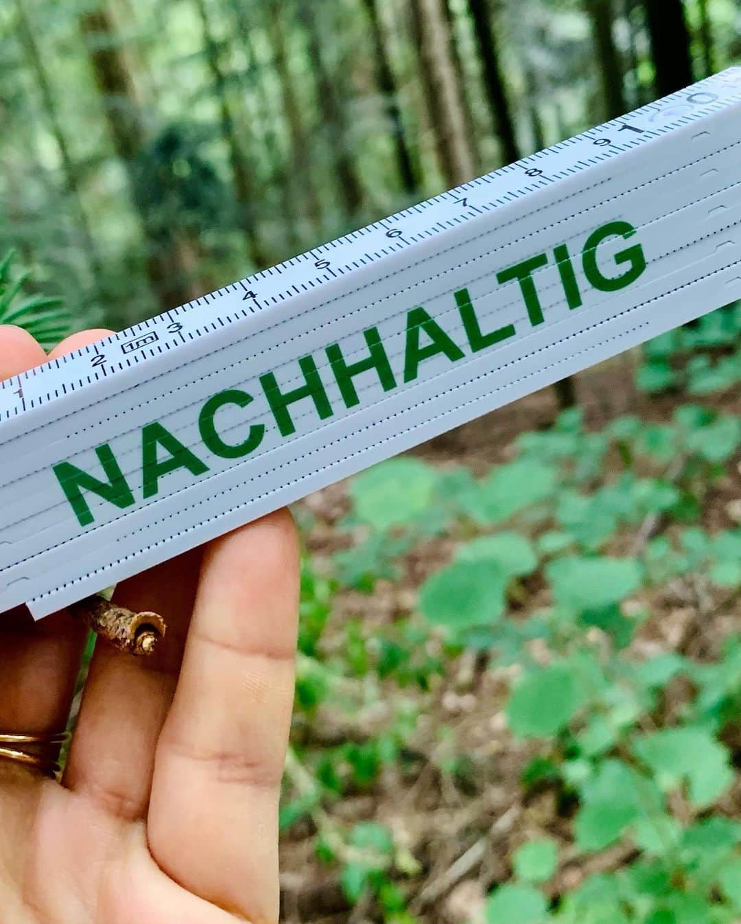 早坂香須子さんのインスタグラム写真 - (早坂香須子Instagram)「神宮外苑の再開発について思うこと。  森を守るには、3世代100年人が同じ思いが必要と言います。  神宮の森を造った日本初の森林学者・本多静六さんはドイツで森林学を学び、時の首相から神宮の森をスギ林にするよう求められたのを説き伏せ、１００年後の多様性のある森を実現した人物です。 　 ２０１９年、ドイツ在住の森林環境専門家・池田憲明さんに黒い森を案内していただいた時に、本多静六という名前と功績を知りました。  神宮外苑の再開発で1,000本の木が切られると聞き、計画見直しの署名はしていたものの、その時はまだ自分事として受け止めていなかったと思います。  それが先月、私の森の間伐をお願いしたところ、打ち合わせ以上に木が切られて均一的なカラ松林になった森の姿を見て、痛みを伴って初めて、全国で行われる皆伐に、神宮外苑の木々の伐採に、自分事として思いを馳せました。  業者さんは森とそこに住む予定の私に良かれと思って自分達のメソッドで伐採したわけで、誰が悪いとかではないし、光が入ったことでまた再生してくる生命もあります。  でも、切ってしまった木は戻りません。  ドイツでは、産業革命で燃料や資材として伐採され、木が国土の10%以下になった反省から、国を挙げて種の多様性、大きさの多様性を大切にした持続可能な森づくりに舵を切ったそうです。  私は私の反省から、森づくりプロジェクトを再スタートします。  ひとつの森で起こることは、土中の菌ネットワークで世界中の森に繋がり、川、海、全ての環境と影響しあいます。  私たちはいつからでも、自然に生かされる暮らしを選ぶことができる、森がそう教えてくれたんじゃないかと思うのです。  神宮外苑の再開発は、建物の老朽化で必要な部分もあるのは理解できるし植林もするそうだけど、樹齢100年の木は一度切ったら戻らないから。  100年の森を残してくれた本多静六さんがもし今生きていたら、何と言うかな？  そんなことを考えながら、今日も森に向かいます。  #神宮外苑#神宮外苑再開発 #本多静六  #ドイツ#黒い森 #光の森のプロジェクト」5月21日 15時19分 - kazukovalentine
