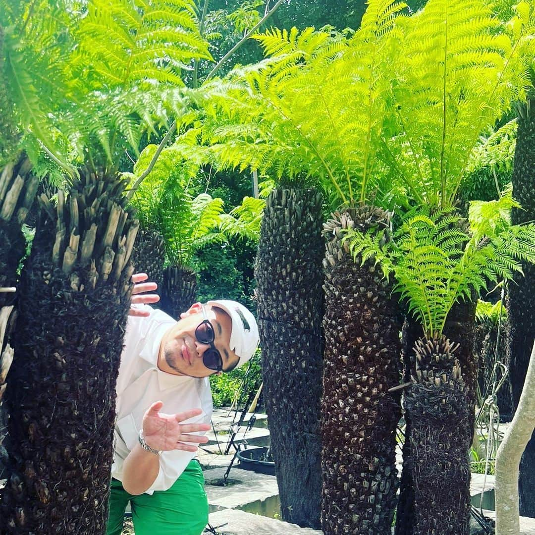 三浦崇宏さんのインスタグラム写真 - (三浦崇宏Instagram)「#植物 #green #plants  #そら植物園 #かくれんぼ #ひょっこりさん #instagood  #インスタグラムといえばかくれんぼと聞いて」5月21日 15時19分 - takahiro3ura