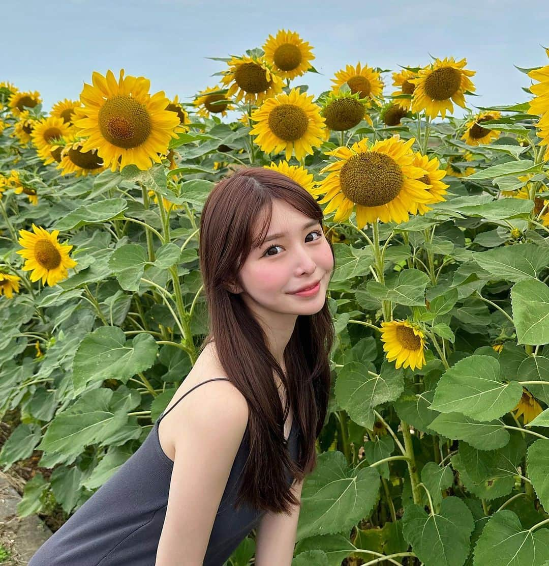 akariのインスタグラム：「一足先に 🌻♡」