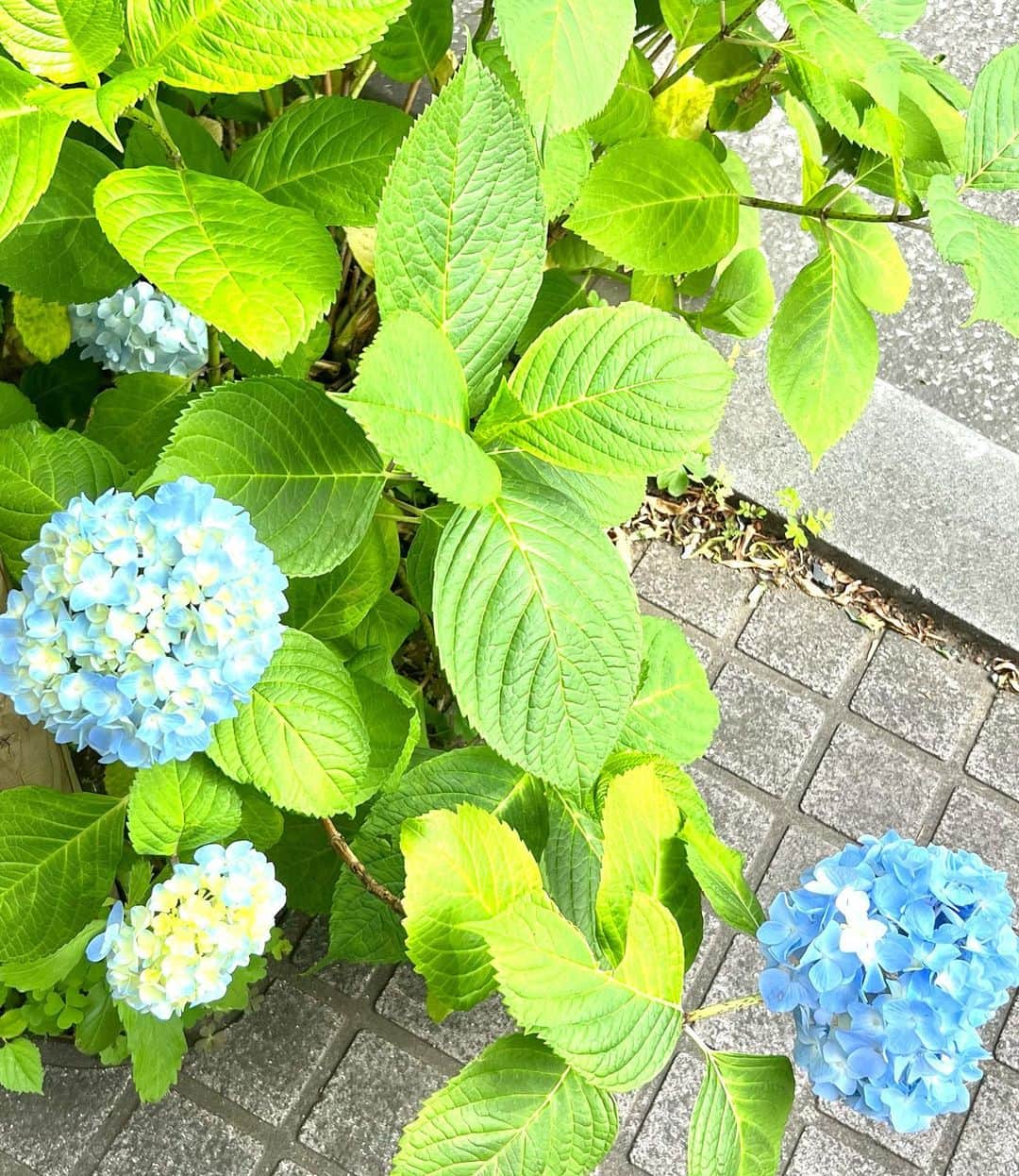 佐藤詩織さんのインスタグラム写真 - (佐藤詩織Instagram)「🌛」5月21日 16時05分 - shiori_sato_artwork