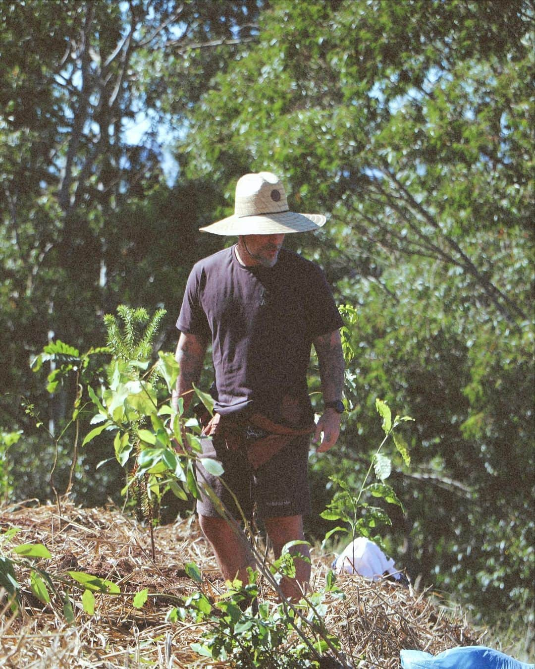 Bruno Gagliassoのインスタグラム：「Mais um pouco do plantio desse fim de semana que foi mt especial 🌳🌱🙏🏽 Que orgulho, agora são 27 mil mudas plantadas aqui no @ranchodmontanha obrigado pela parceria @fabricadearvores 💚✅🌻」