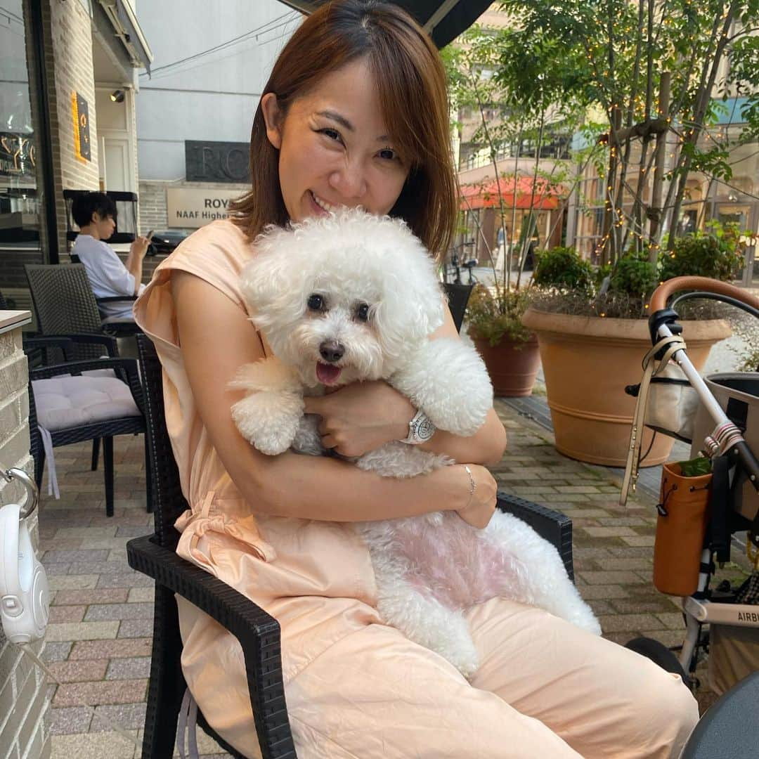 CHIAKIのインスタグラム：「. . .  隣に大きなチャウチャウ🐕がいて 可愛い過ぎて可愛い過ぎて きゅん♡  そしてヤキモチ妬くおもち。  2枚目は ポタポタ焼きのおばぁちゃん👵♡  #bichonfrise  #ビションフリーゼ  #わんことお出かけ  #わんこ服 #ドッグカフェ #堀江カフェ  #堀江ドッグカフェ」