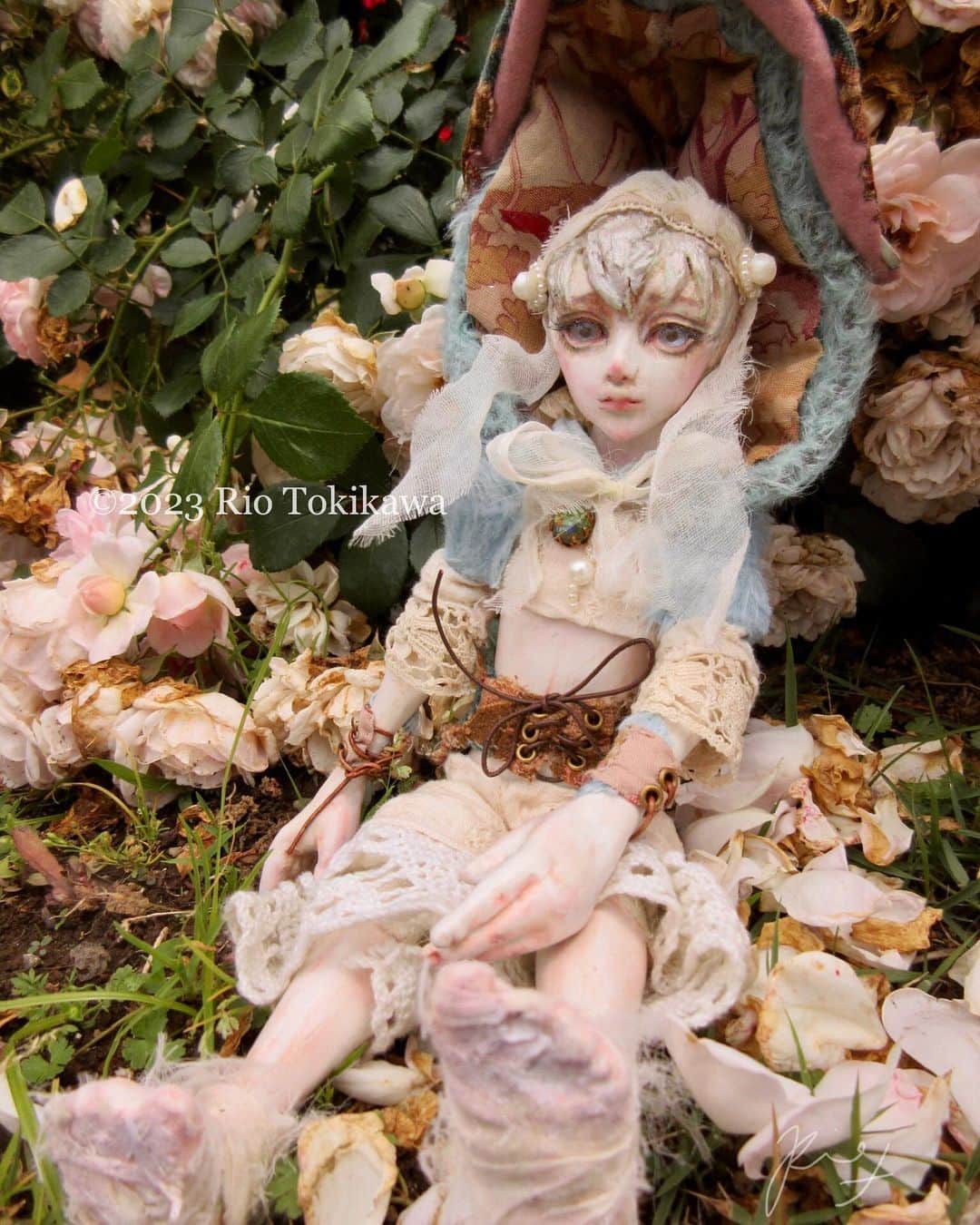 のインスタグラム：「𝐄𝐥𝐟𝐢𝐧 𝐆𝐮𝐢𝐥𝐝　𝐈　〜𝐄𝐭𝐡𝐞𝐫〜  I created a small doll. About 27cm (about 32cm if you add the big fluffy helmet hood)  He seems to be interested in human culture, so I took him around a lot. I'll post more pictures in a bit 🧝✨  ††††††††††† 𝐄𝐥𝐟𝐢𝐧 𝐆𝐮𝐢𝐥𝐝　𝐈　〜𝐄𝐭𝐡𝐞𝐫〜  小さいお人形が完成しました。 約27cm (ビッグふわふわ兜フードを足すと約32cm)  通称エーテル君です  人間の文化に興味があるようなので色々と連れ回しました。 ちょっとずつ写真を載せていきます🧝✨  †††††††††††  #エルフ　#妖精　#elf  #人形  #artdoll  #球体関節人形  #bjd #originaldoll 　  #rosegram #doll 　#fantasyart　#創作人形　#ドール　#dollclothes」