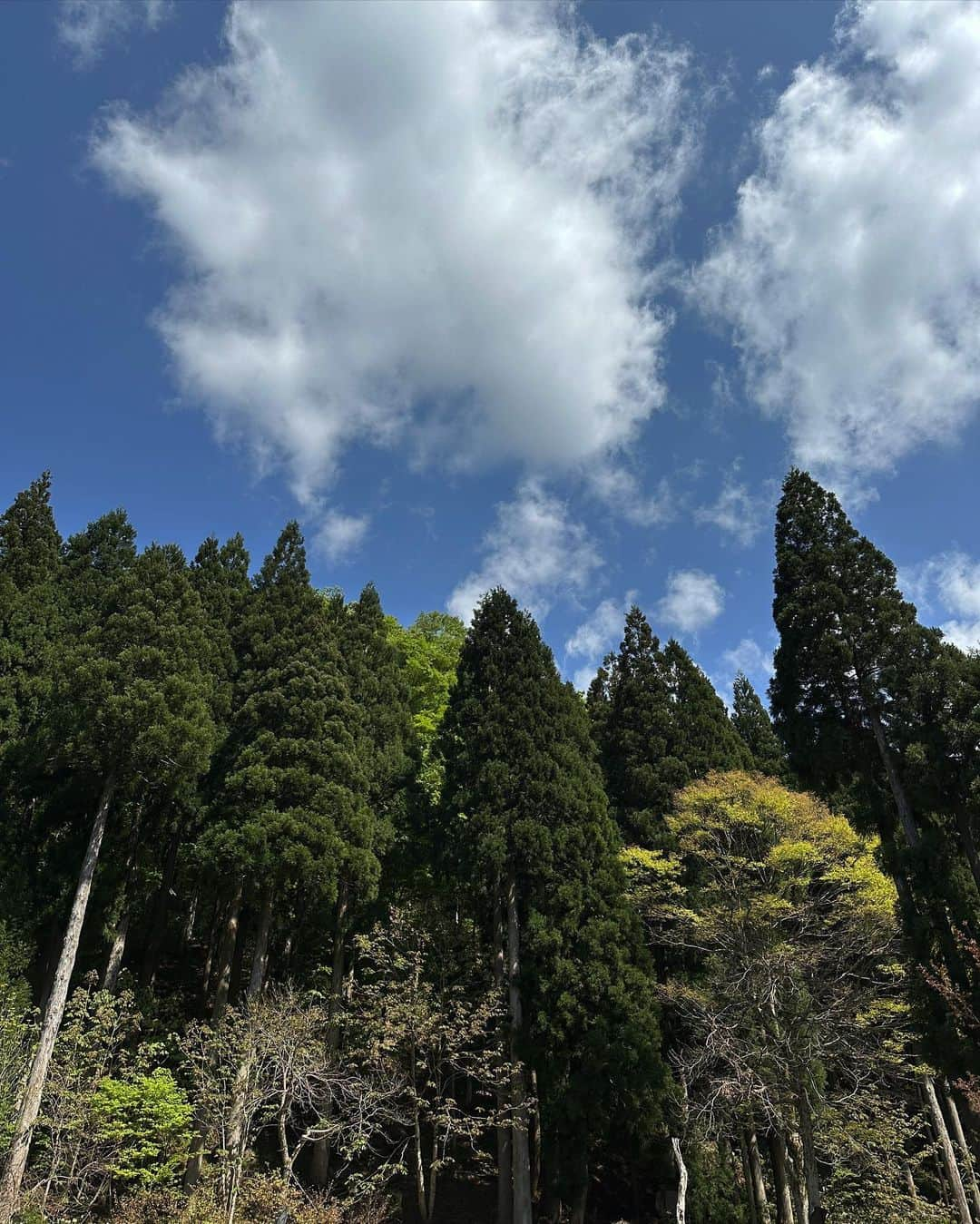 原田美優さんのインスタグラム写真 - (原田美優Instagram)「. 川って冷たいけど気持ちいい〜🍃 SHEINの水着タイプの多くていっぱい買っちゃう👙🩷  6/30まで、お買い上げ金額1～5,999円までは15%OFF、 6000円以上は20%OFFになるよ🩵 クーポンコード : SNC6116  @shein_japan @sheinofficial  #shein #shein購入品 #sheinコーデ #水着 #ワンピース水着  #sheinforall #ad」5月21日 19時15分 - harada.myu