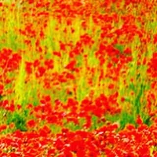 ジャンポールノットのインスタグラム：「Pointillist」