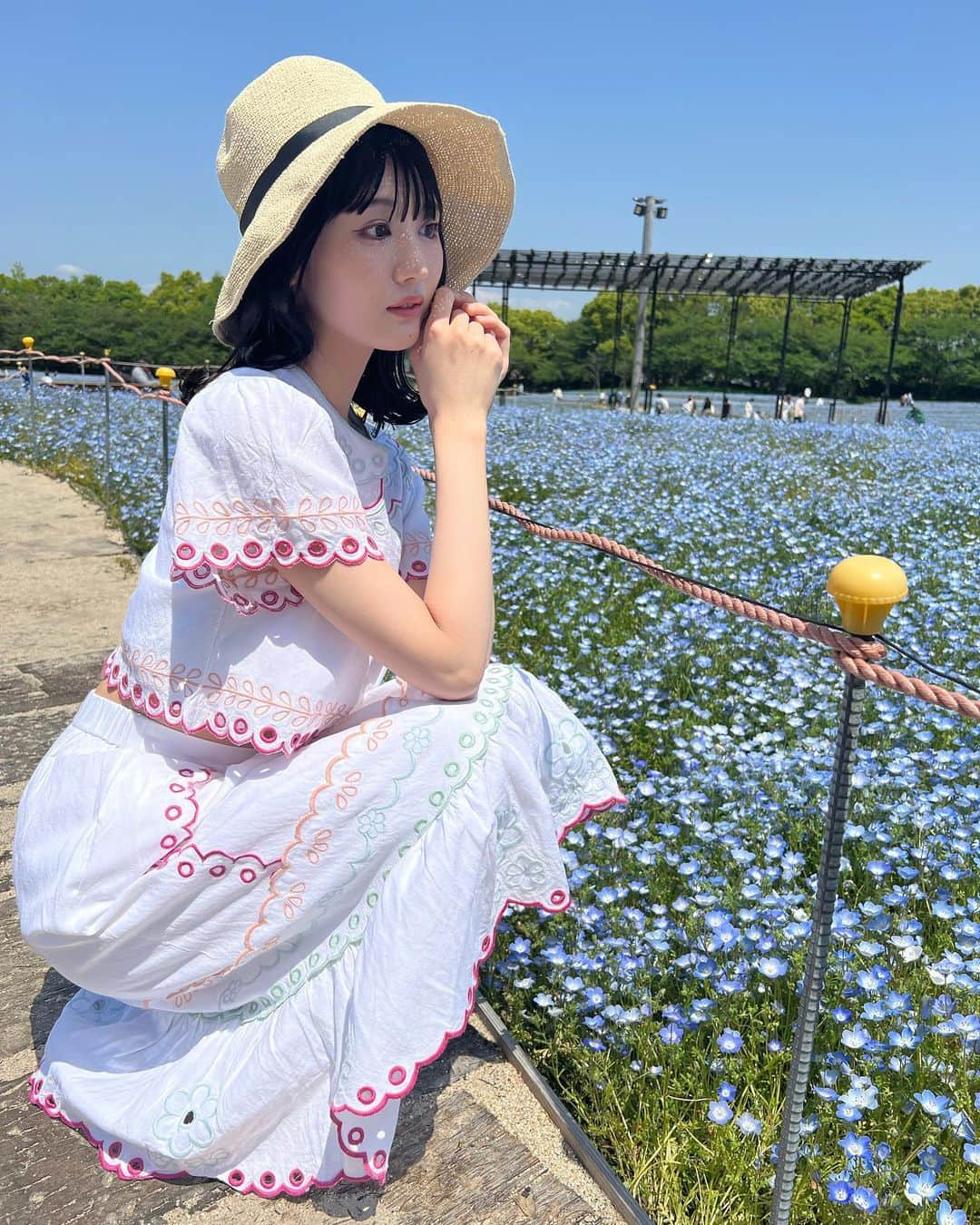 長谷川里桃さんのインスタグラム写真 - (長谷川里桃Instagram)「⁡ ⁡ #ネモフィラ 🩵 ⁡ ⁡ とっても暑い日でしたね🌡️ みなさん大丈夫でしたか？ ⁡ わたしは今日ちょっとぽわぽわしてしまいました ⁡ ⁡ 涼しげなお花を見て癒されるといいな🫧」5月21日 20時24分 - rimo_official