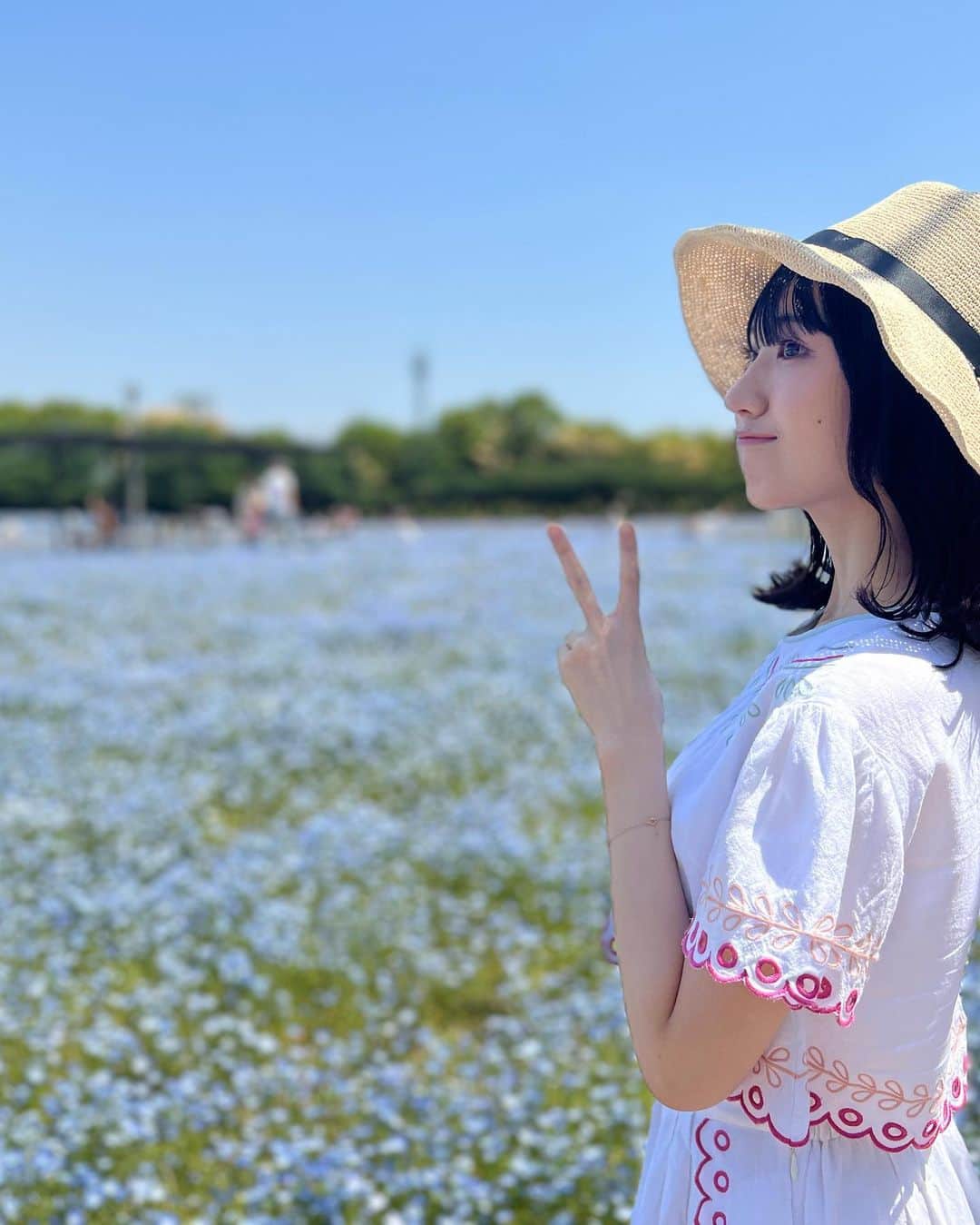 長谷川里桃さんのインスタグラム写真 - (長谷川里桃Instagram)「⁡ ⁡ #ネモフィラ 🩵 ⁡ ⁡ とっても暑い日でしたね🌡️ みなさん大丈夫でしたか？ ⁡ わたしは今日ちょっとぽわぽわしてしまいました ⁡ ⁡ 涼しげなお花を見て癒されるといいな🫧」5月21日 20時24分 - rimo_official