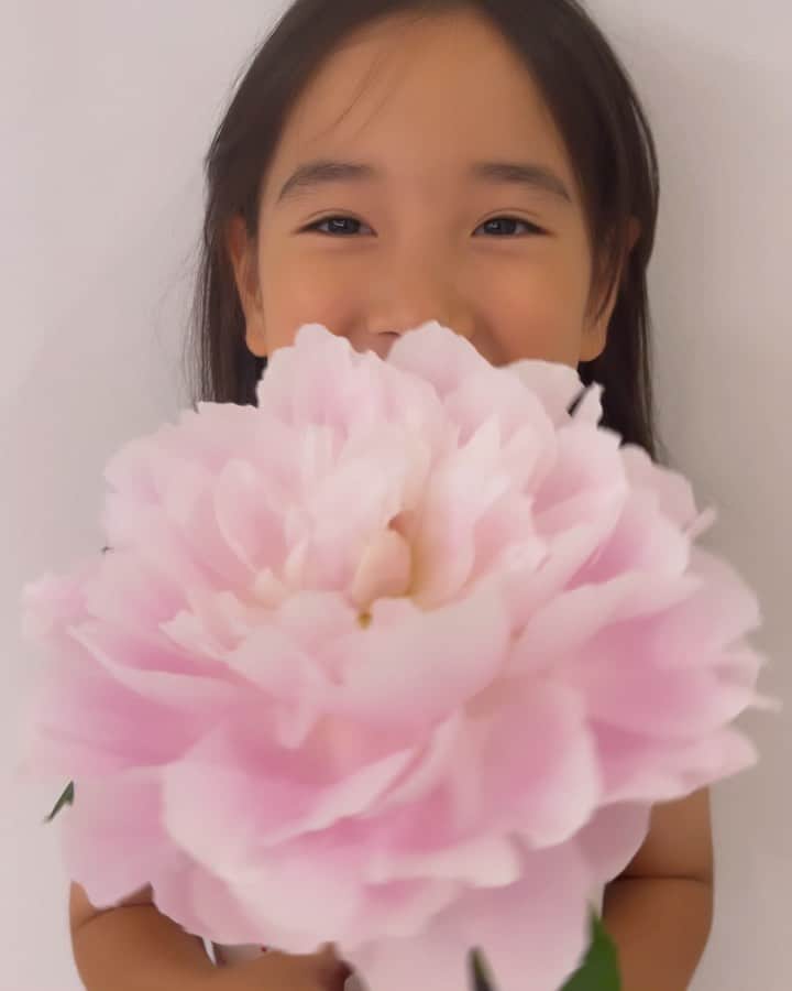 のインスタグラム：「母の日にもらった芍薬💐  日に日に花びらが開いてきて 娘の顔と同じくらい大きく開いた😍 ふわふわで可愛くて毎朝の癒し🥰 枯れないで欲しい〜  @libertyforce_teruya ありがとう❤️❤️❤️  娘もすっかりお姉さんになって 昔の動画 #日夕佳ムービー を見返すと全部が愛おしい🥹❤️‍🔥 成長が早すぎて寂しい😭 いつもありがとう❣️❣️❣️ #母の日 #芍薬 #お花 #娘 #もうすぐ8歳 #女の子ママ #mothersday #flower #peony」