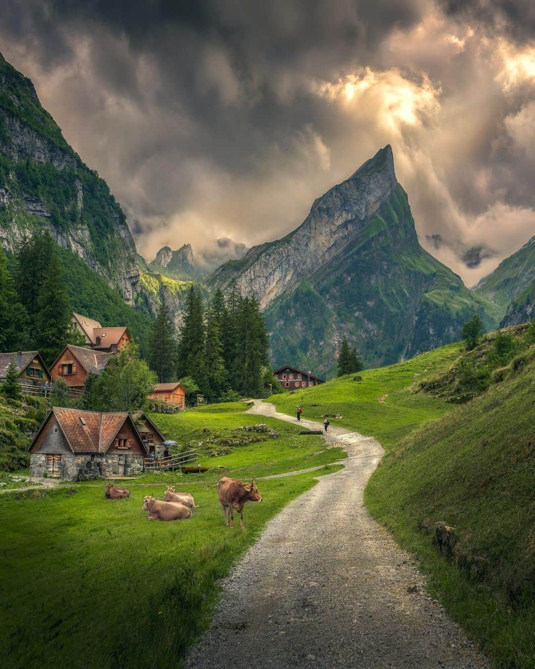 9GAGさんのインスタグラム写真 - (9GAGInstagram)「A heaven for nature lovers 💚 Follow @voyaged for more travel ideas 🌍✈️ - 📷 @ilhan1077 - #voyaged #9gag #travel #switzerland #nature」5月21日 20時30分 - 9gag