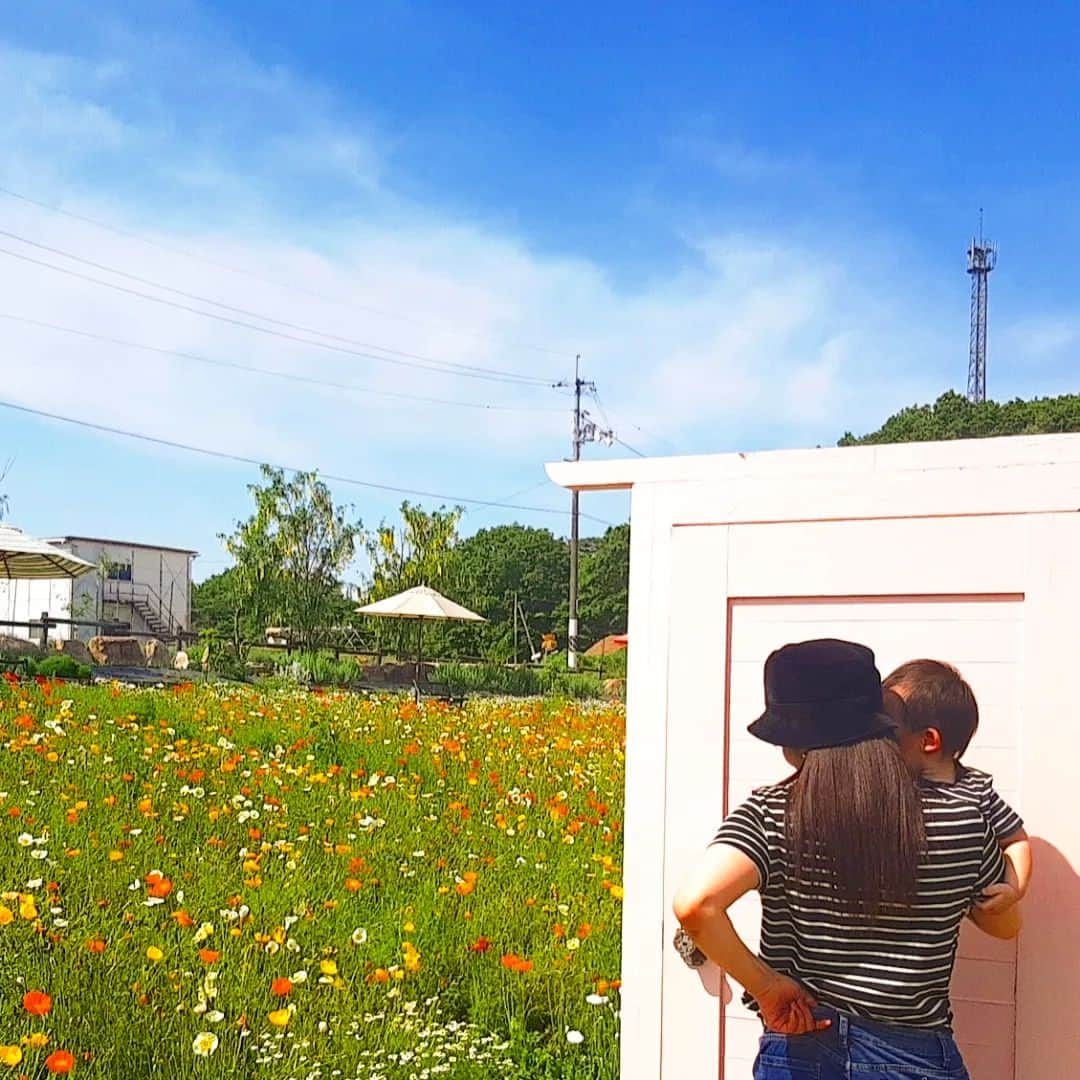 友利愛美さんのインスタグラム写真 - (友利愛美Instagram)「道の駅でパニーニ食べて、広島らしくお好み焼きでおひるごはんして、ずっと行きたいと遠回しに伝えていた香山ラベンダーの丘のポピーフェスタに連れてってもらった♥♥♥♥👪  めちゃくっちゃ幸せ♥♥♥♥  また、たくさんパシャリしたのでお花畑の写真載せさせてください♥  今日はたいちゃんとおそろコーデでした！！！👶👩♥  ハッピー！！！！！🌼🌼🌼🌼  🌼🌼🌼🌼🌼🌼🌼🌼🌼🌼 #お花畑 #ポピー #香山ラベンダーの丘 #赤ちゃんのいる暮らし #家族でお出かけ #男の子ベビー #男の子ママ #おそろコーデ #リンクコーデ #flower #babyboy #世羅町 #ピクニック #お好み焼き #道の駅 🌼🌼🌼🌼🌼🌼🌼🌼🌼🌼」5月21日 20時52分 - aimitomori