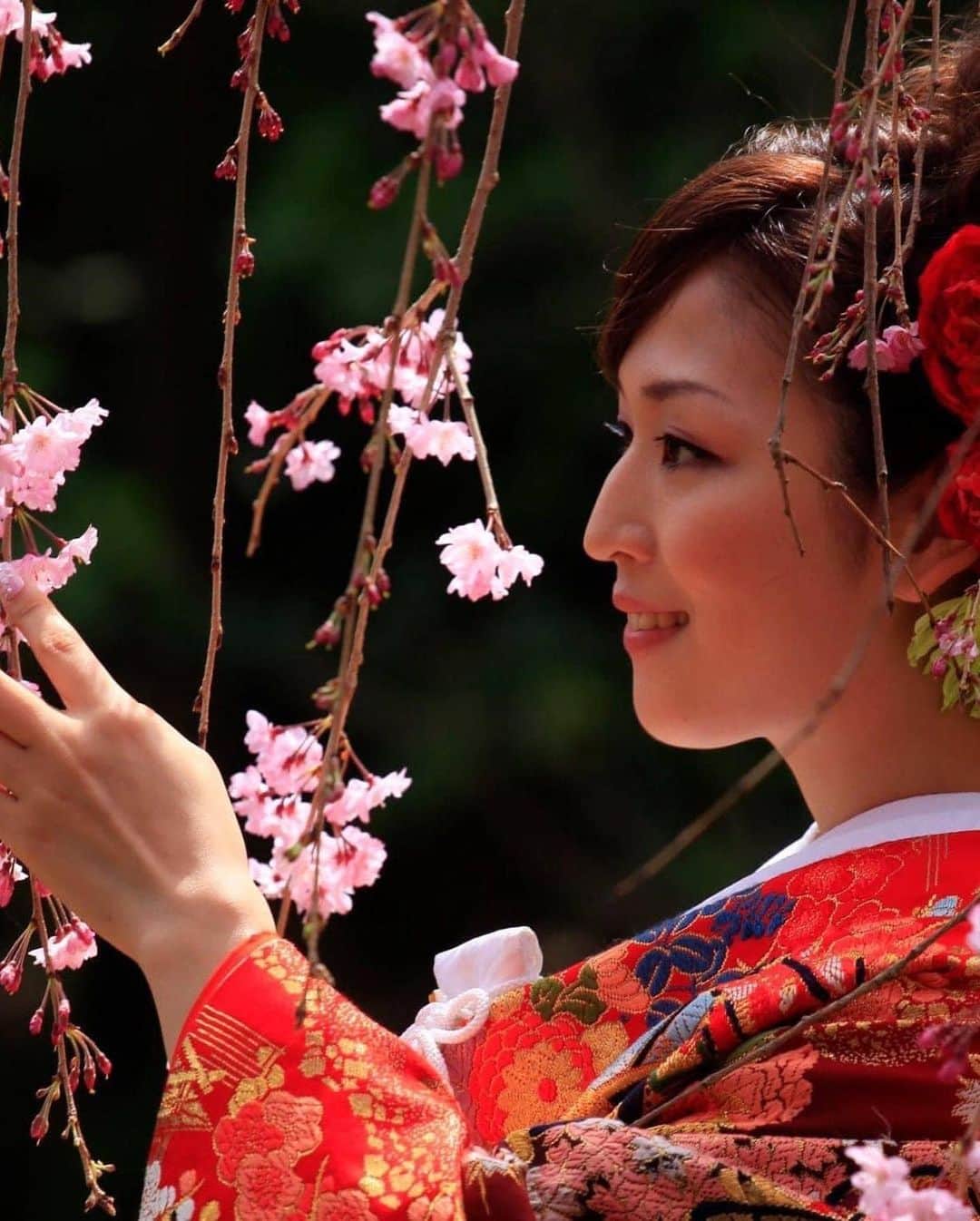 のインスタグラム：「Experience the magic of Japan this summer with Thai Airways! 🌞✈️ From the electric streets of Tokyo to the serene countryside, discover a world of ancient traditions, breathtaking landscapes, and mouthwatering cuisine. 🍣🏯 Let the allure of Japan beckon you to explore its vibrant cities, pristine nature, and rich cultural heritage. Book your tickets now and let us whisk you away to an unforgettable summer adventure in the Land of the Rising Sun! ☀️🇯🇵  Book now : thaiairways.com or click link our bio.  #thaiairways #smoothassilk #tg #FlyWithThaiAirways #SummerInJapan #UnforgettableJourney #JapaneseEscape #tokyo #osaka #nagoya #fukuoka #japan #magiclejourney」