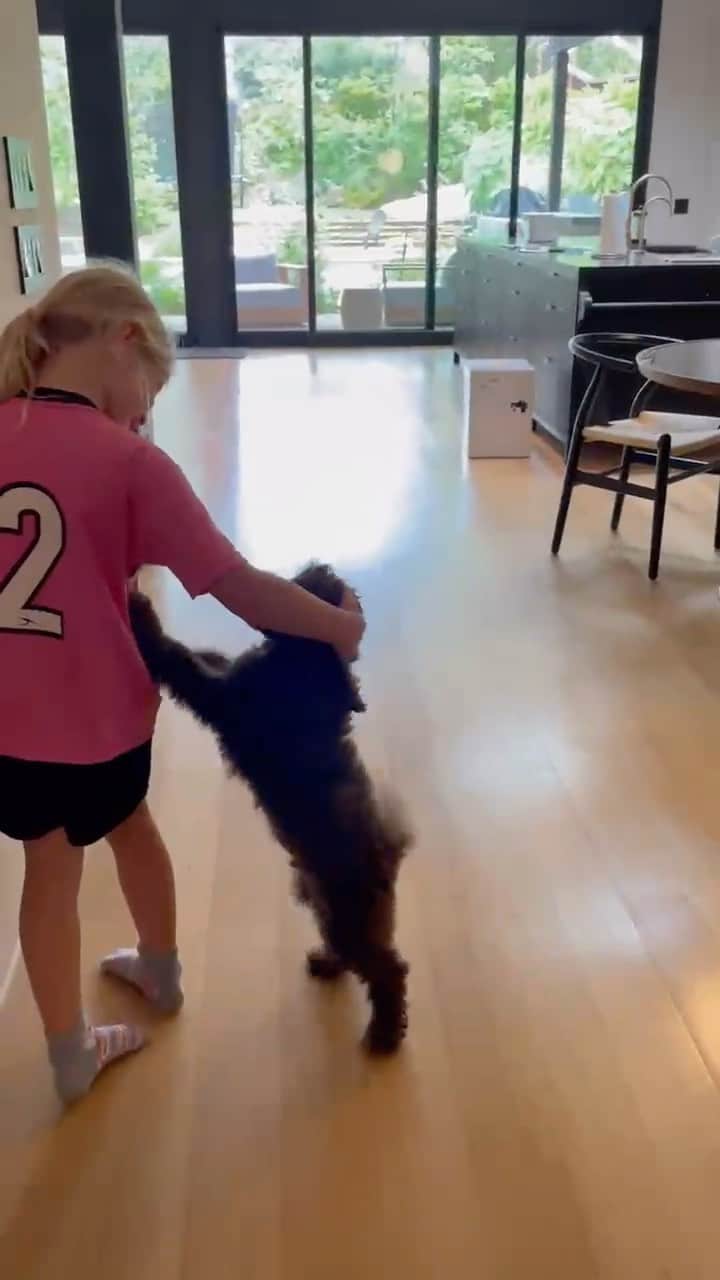 ジュリアン・エデルマンのインスタグラム：「Newest member of the Edelman family #Rocky ❤️ 🐶」