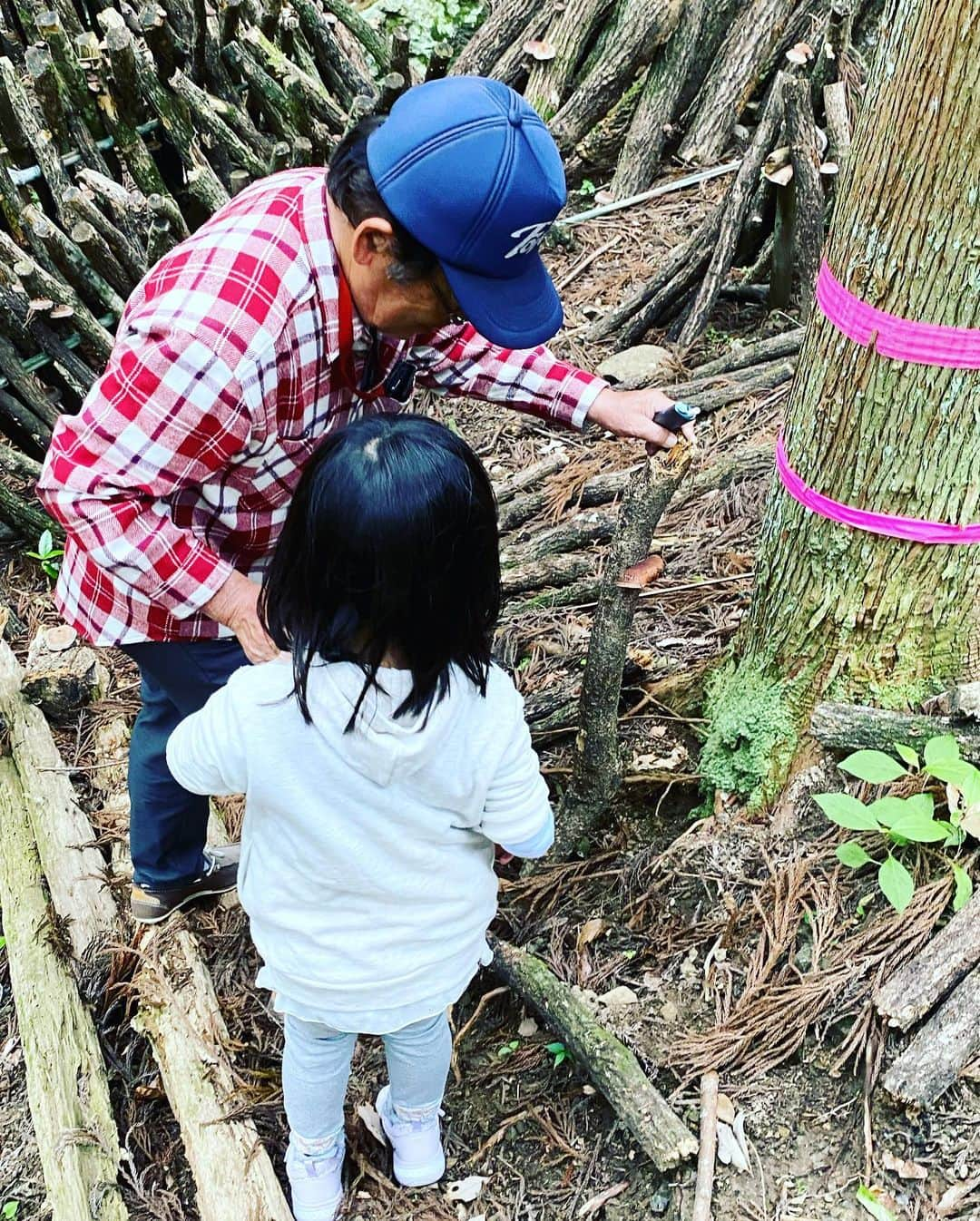 中華首藤さんのインスタグラム写真 - (中華首藤Instagram)「⛰️✨⛰️✨⛰️✨  #父と娘の休日  #孫とじいじ  #孫とばぁば  #故郷 #豊後大野市 #大野町  #実家帰省 #椎茸取りもできた #お墓参りもできた  #花火もできた #公園で暴れた   #大分 #熊本 #ローカルタレント #中九州タレント #ローカルリポーター #中華首藤」5月21日 21時14分 - chuuka_shutou