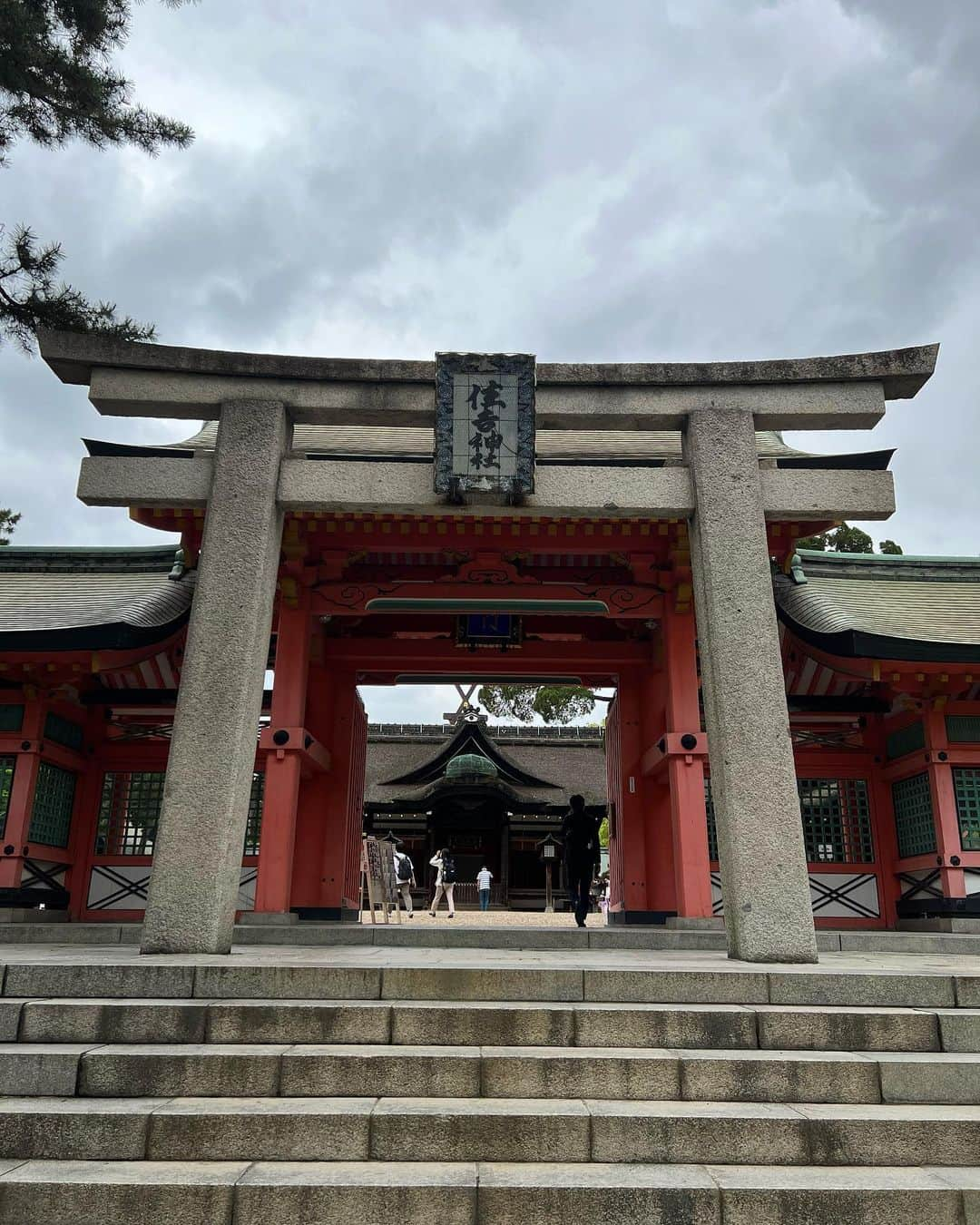 たけるのインスタグラム：「【最近の参拝歴】  住吉大社　大阪  大阪にある神社さん いつか行ってみたくて行けた 1枚目は住吉大社角鳥居 鳥居カッケェ やばmaxカッケェ あと丸みがすごい太鼓橋ものすんごいよ 二個目の鳥居の奥にある橋 丸みが凄すぎて直角を上がってるみたい 太鼓橋はヨガの猫のポーズした時の背中ぐらい丸みあるよ 御所御前という場所にある力・大・石と書かれた石を持って帰ったらご利益あるんだとか とにかく行ってみ 気持ちいいぜ  #東京ホテイソン #たける #神社 #住吉大社 #備中神楽 #鳥居カッケェ」